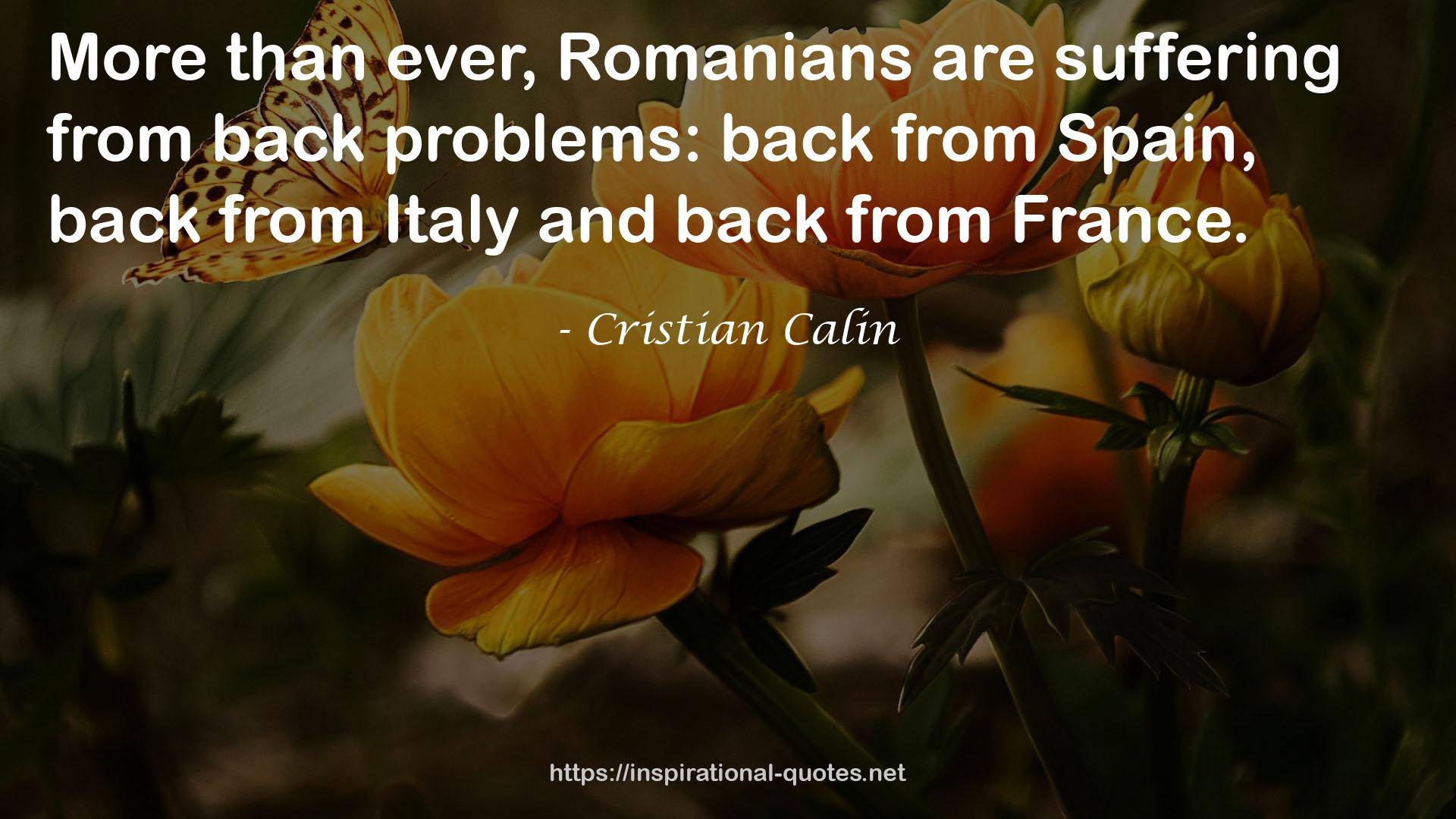 Cristian Calin QUOTES