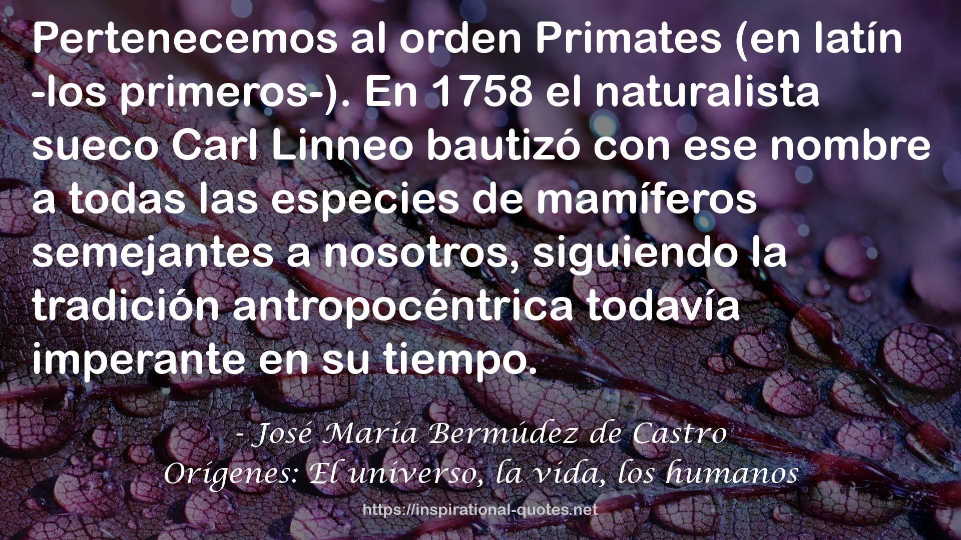 José María Bermúdez de Castro QUOTES