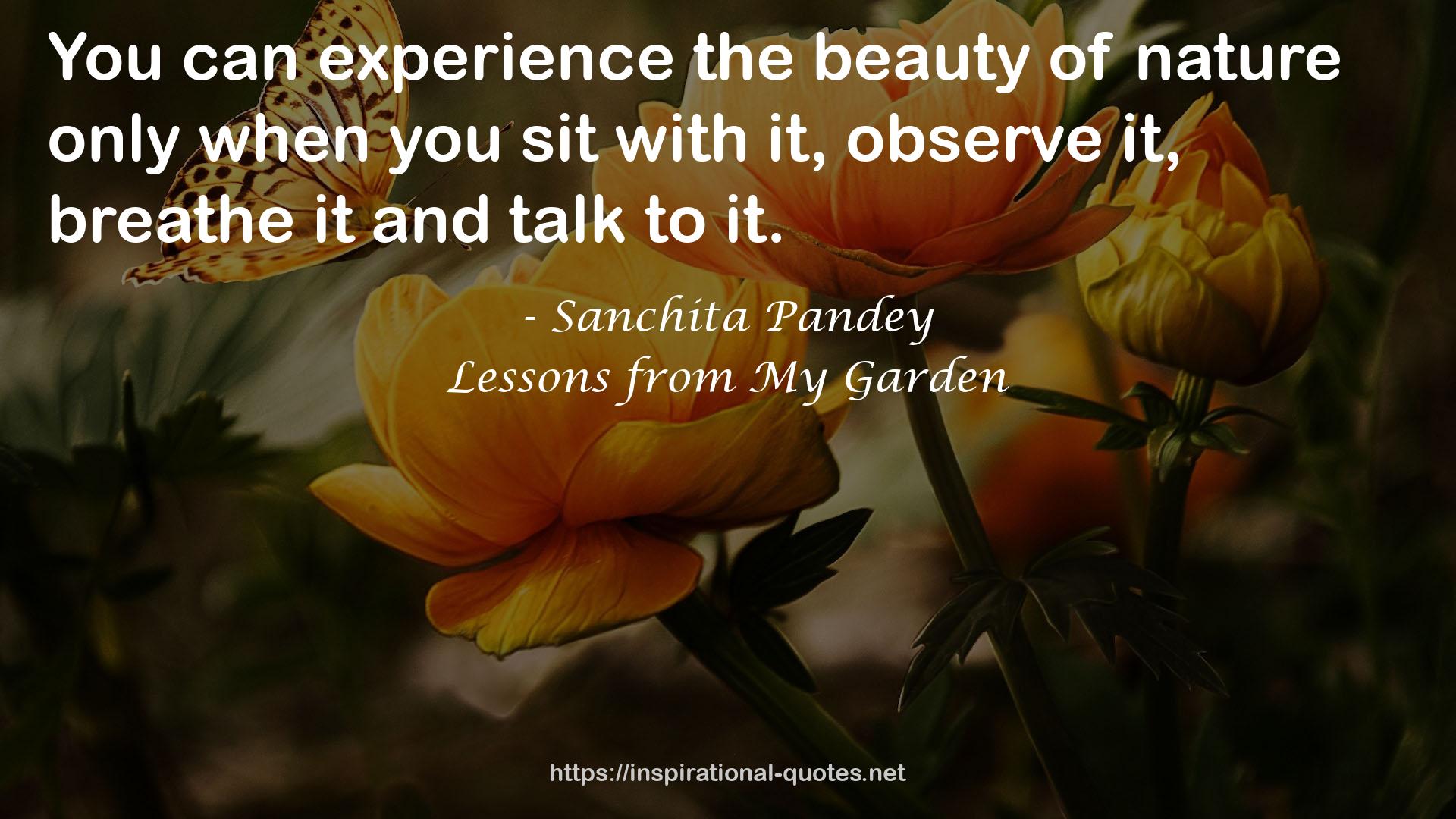 Sanchita Pandey QUOTES