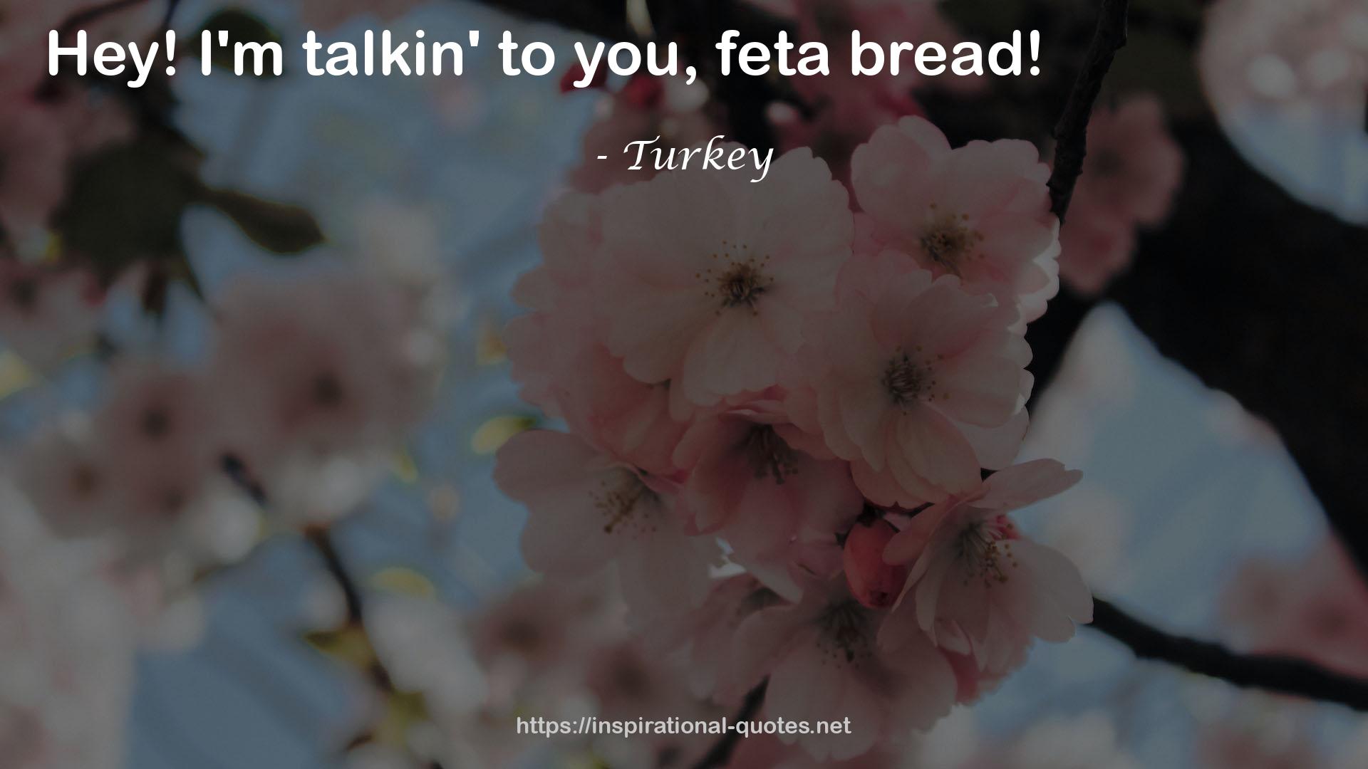 Turkey QUOTES