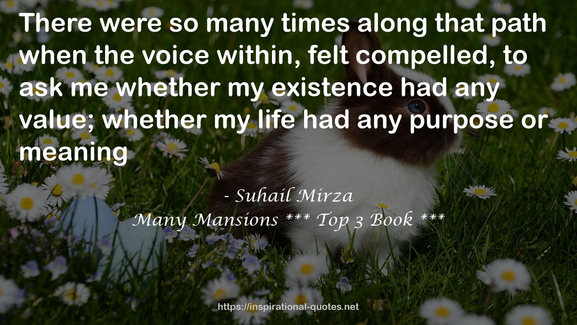 Suhail Mirza QUOTES