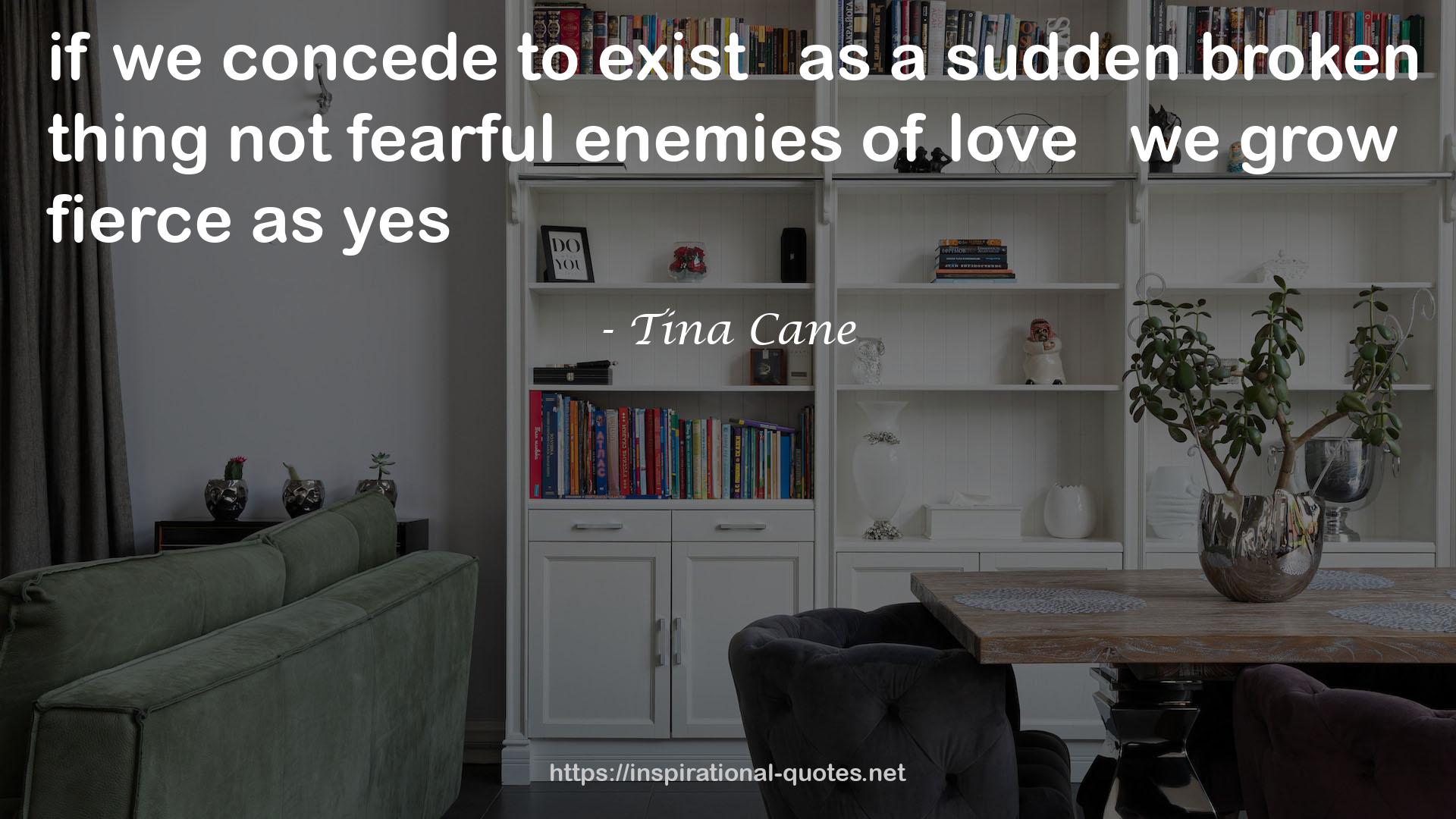 Tina Cane QUOTES