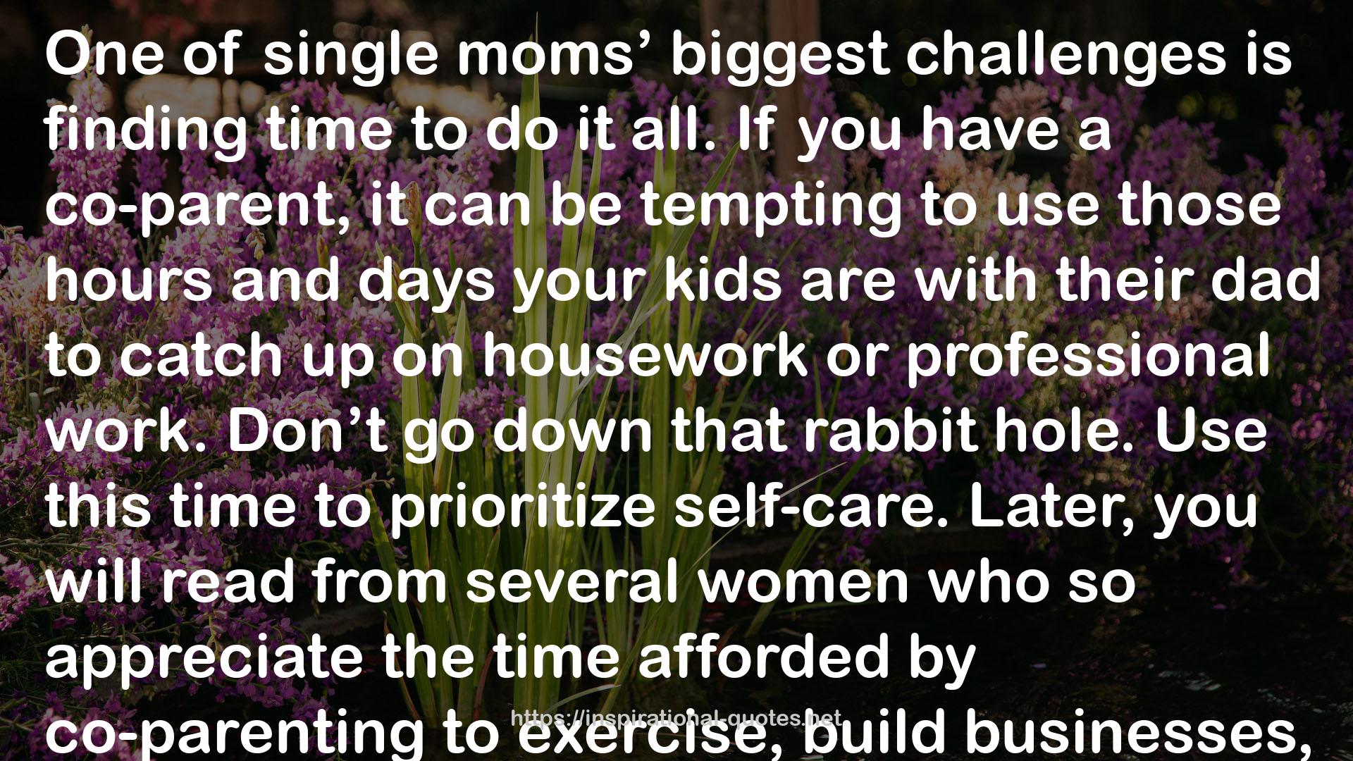 The Kickass Single Mom QUOTES