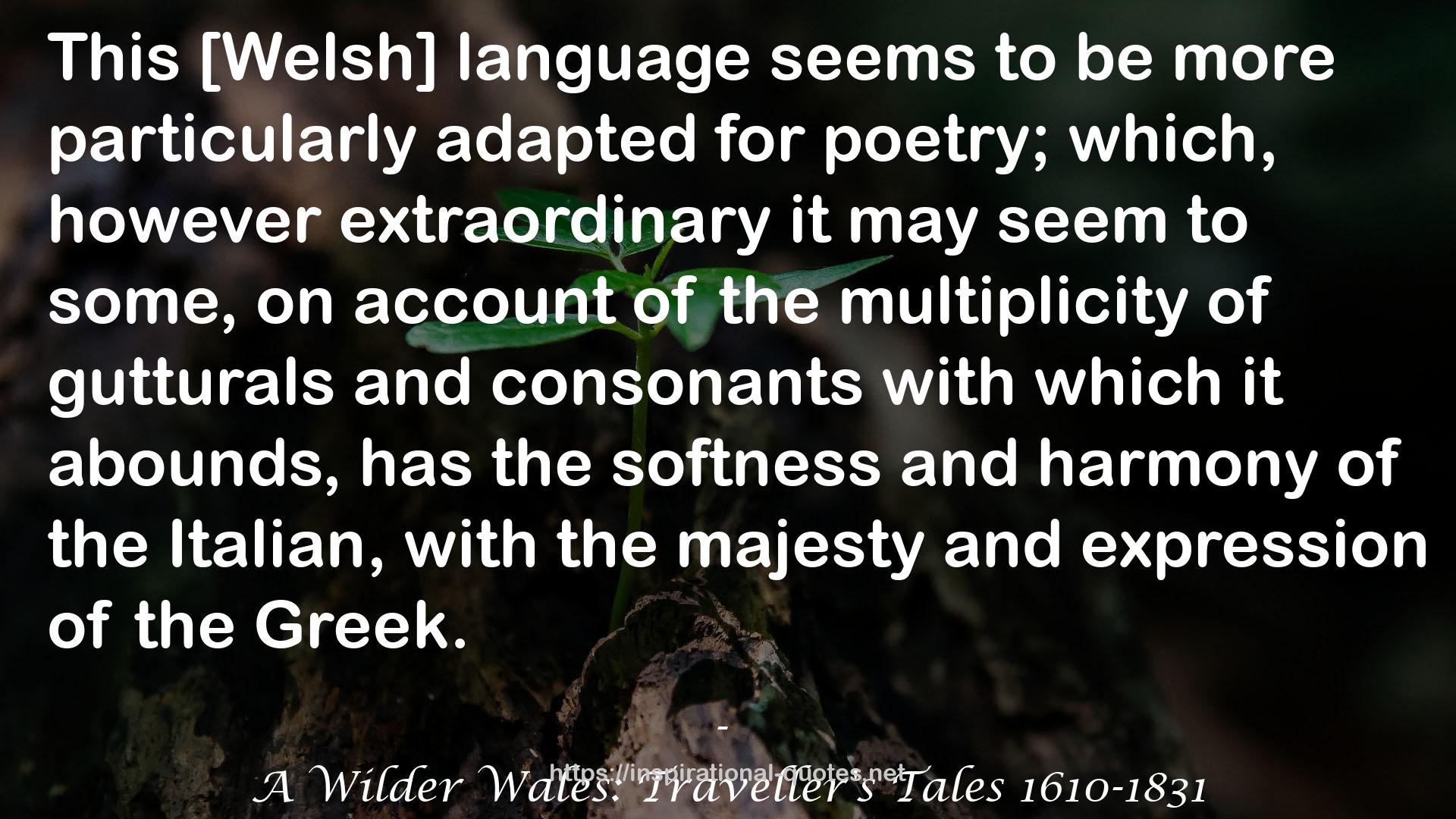 A Wilder Wales: Traveller's Tales 1610-1831 QUOTES