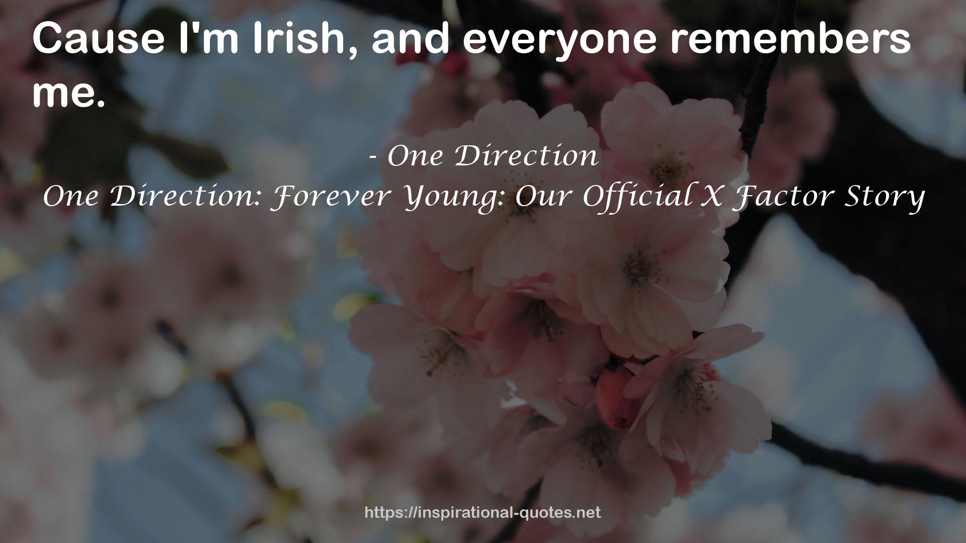 One Direction: Forever Young: Our Official X Factor Story QUOTES