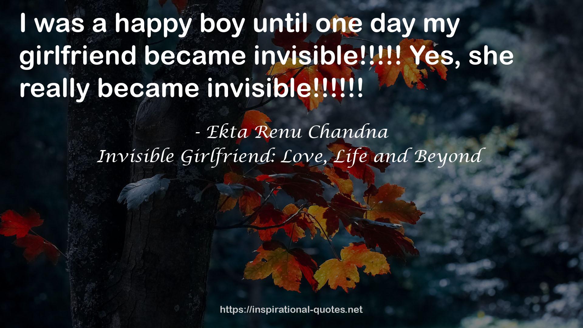 Invisible Girlfriend: Love, Life and Beyond QUOTES