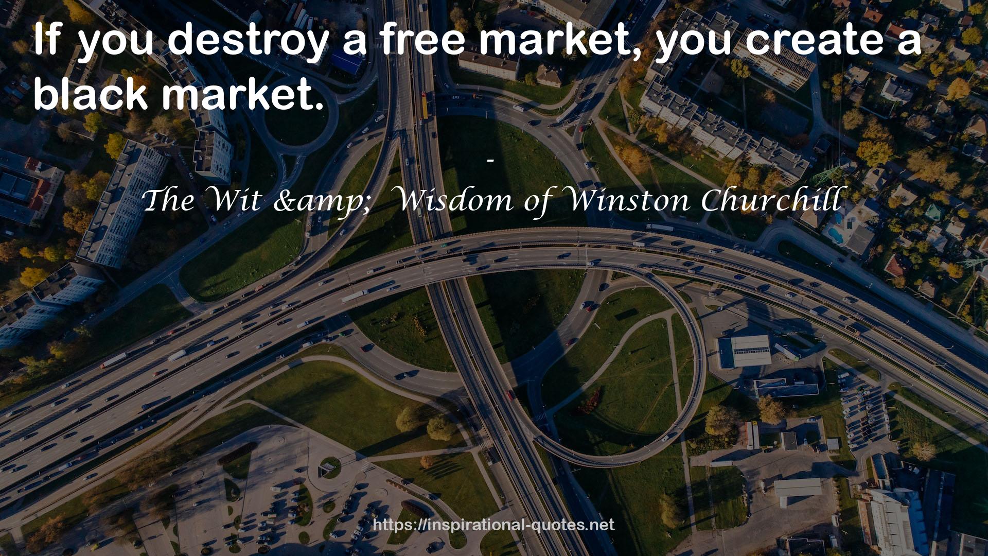 The Wit &  Wisdom of Winston Churchill QUOTES