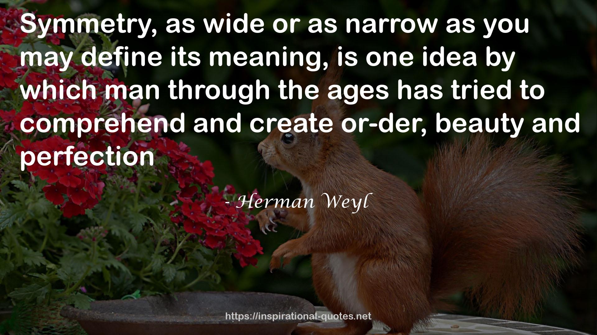 Herman Weyl QUOTES