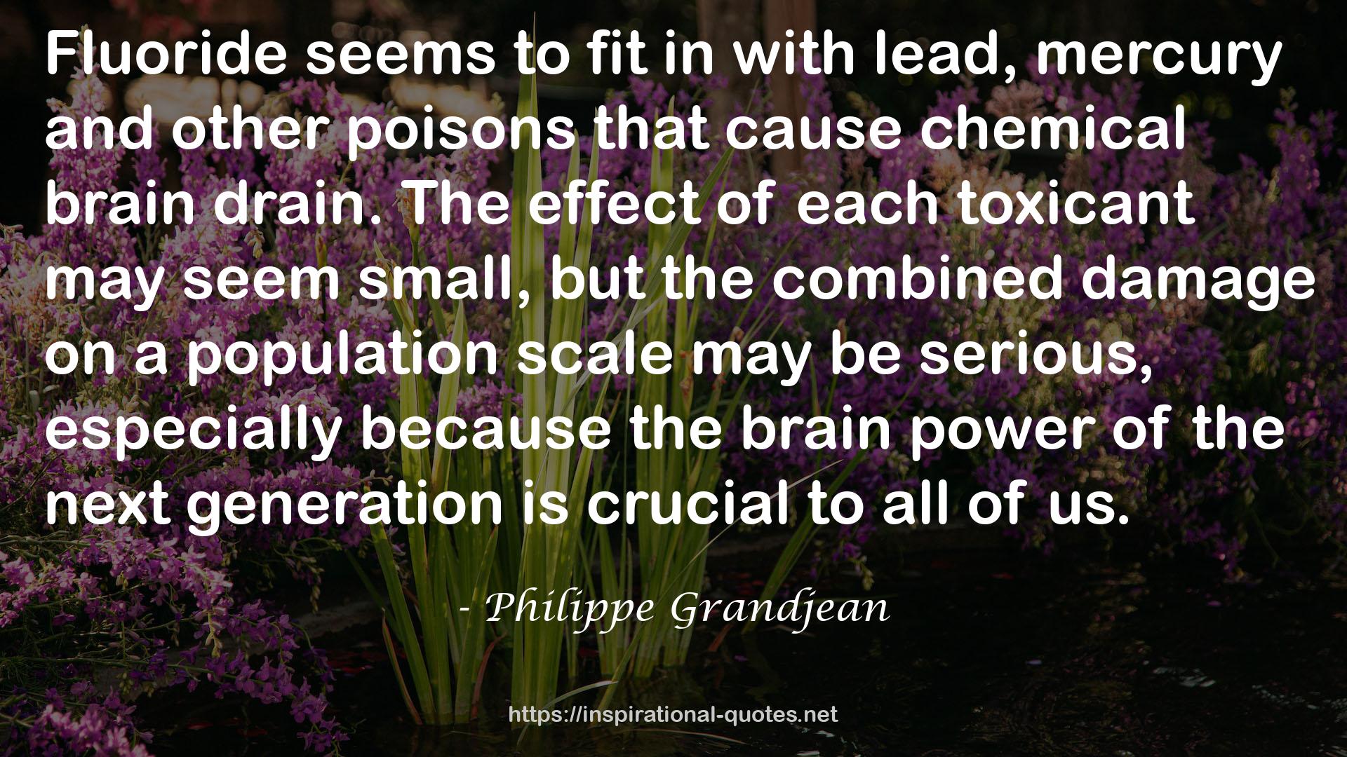 Philippe Grandjean QUOTES