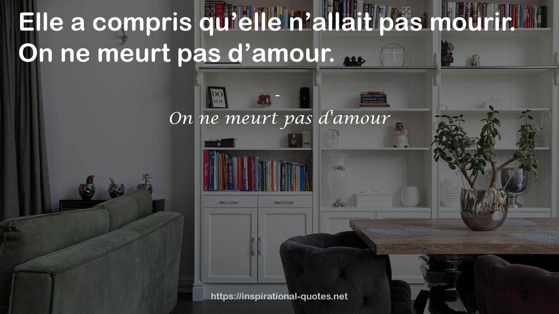 On ne meurt pas d'amour QUOTES