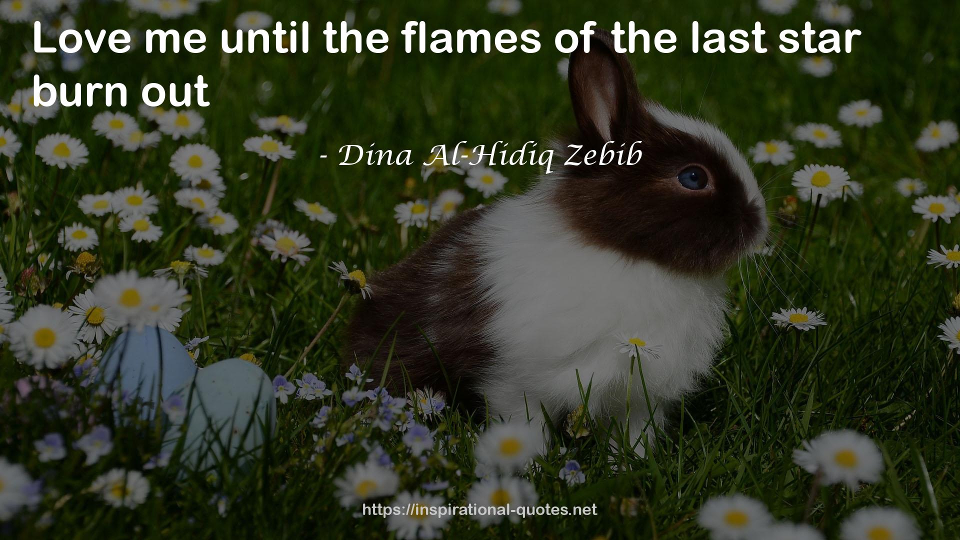 Dina Al-Hidiq Zebib QUOTES