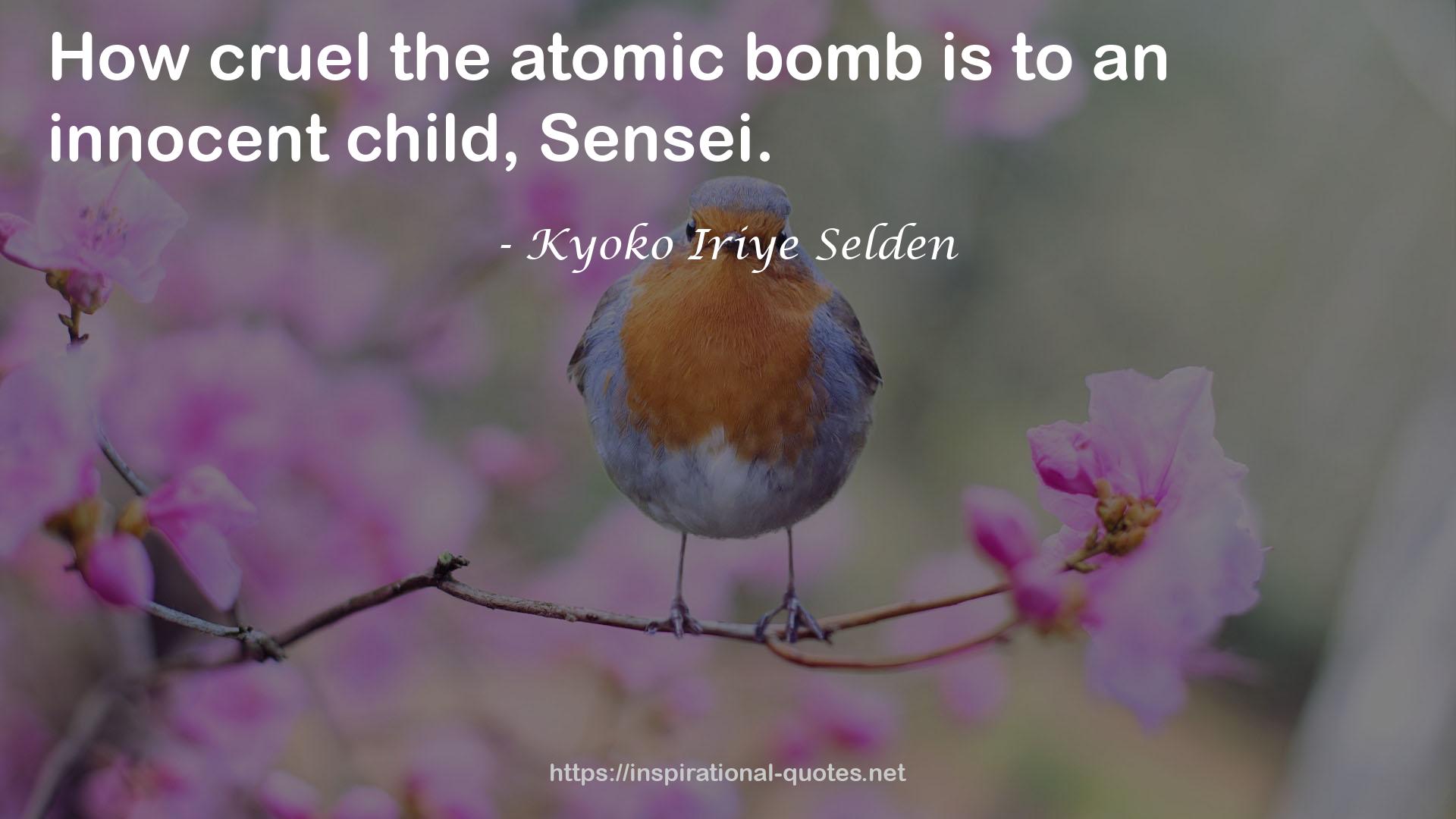 Kyoko Iriye Selden QUOTES