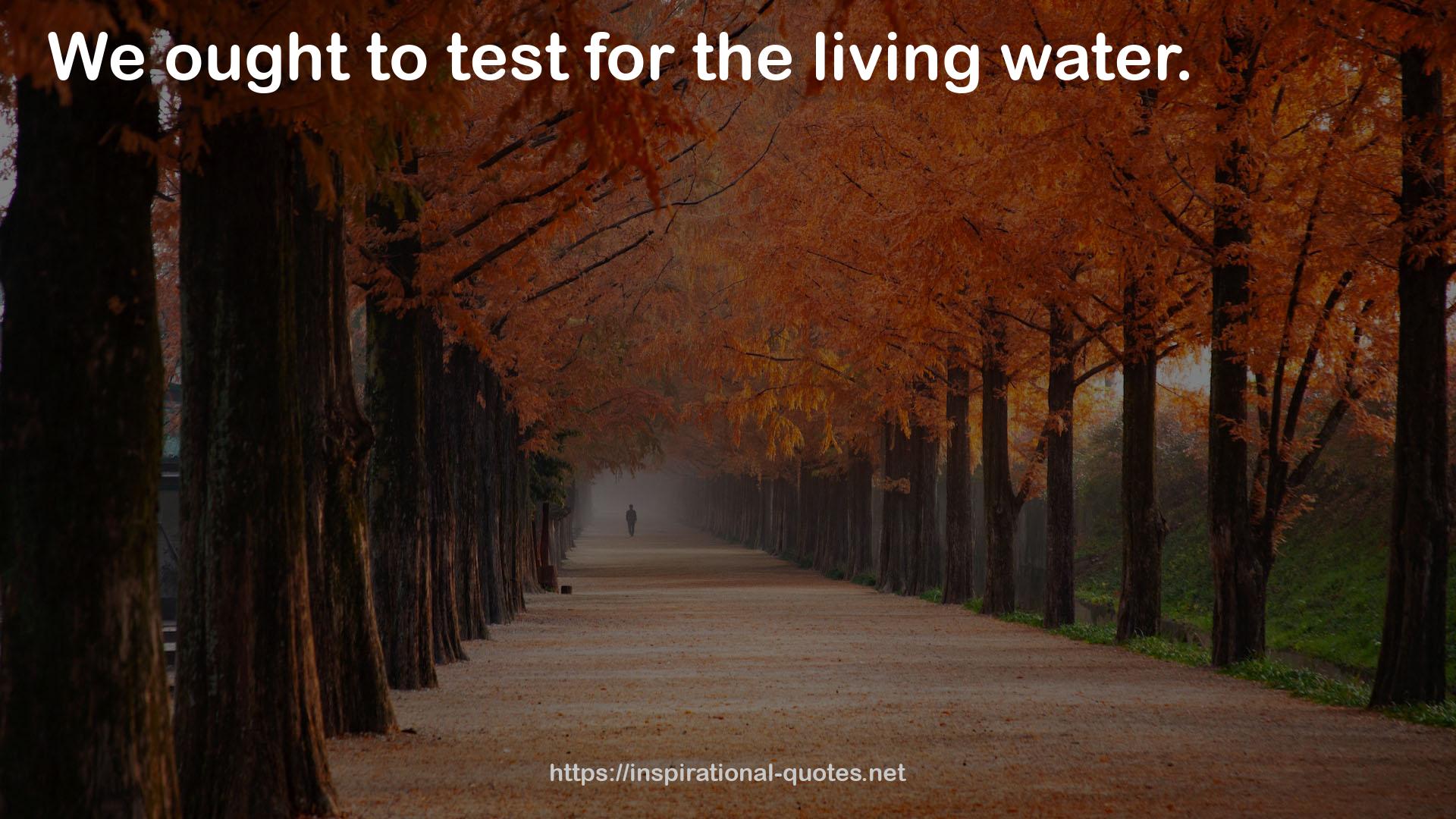 the living water  QUOTES