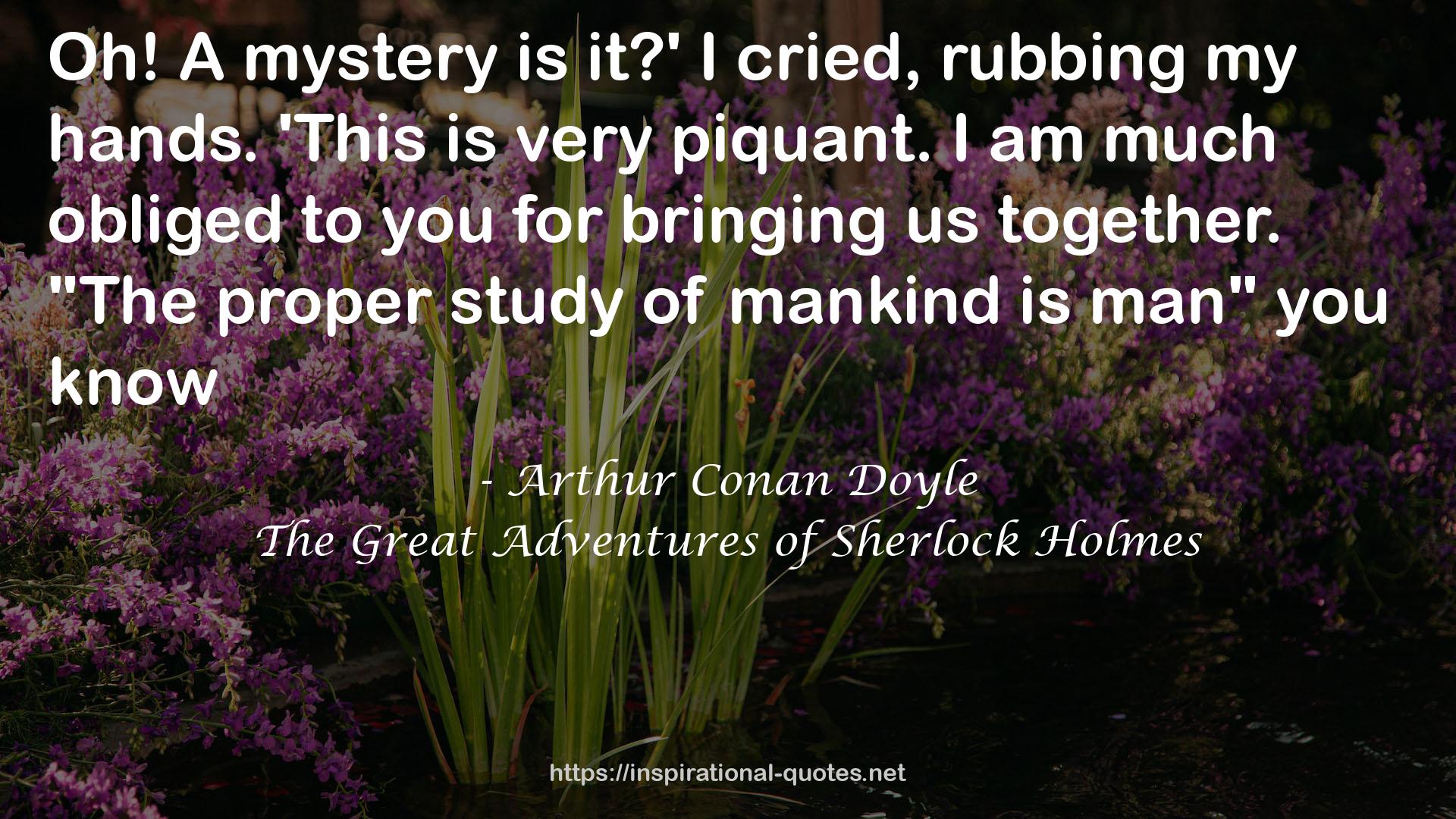 The Great Adventures of Sherlock Holmes QUOTES