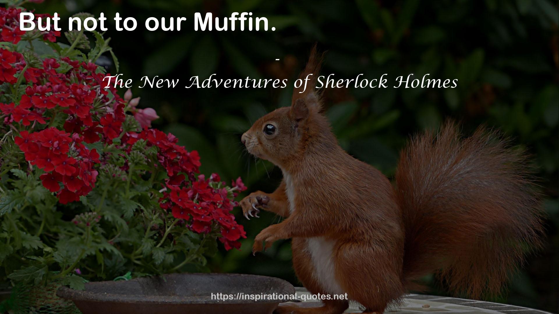 The New Adventures of Sherlock Holmes QUOTES