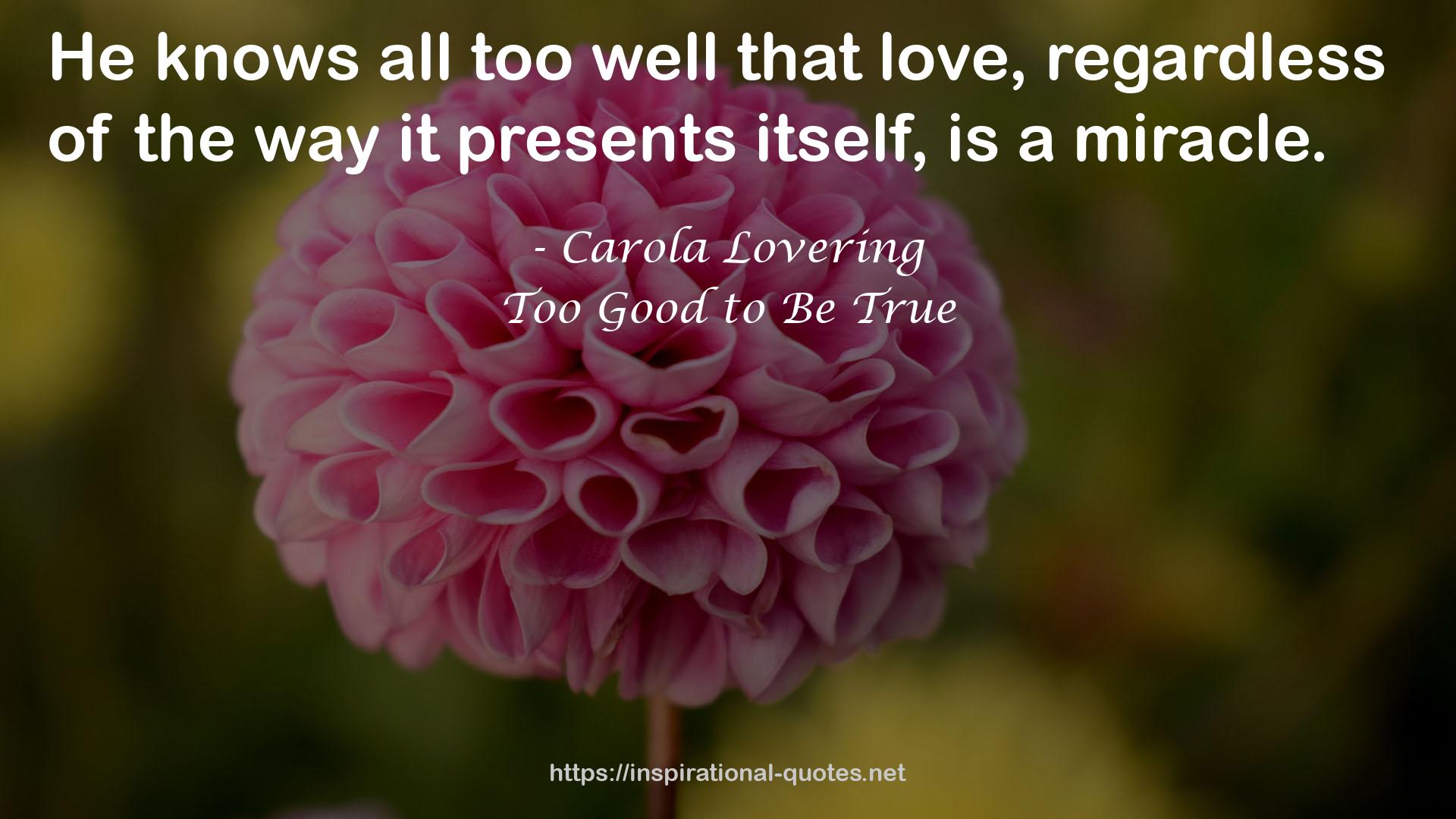 Too Good to Be True QUOTES
