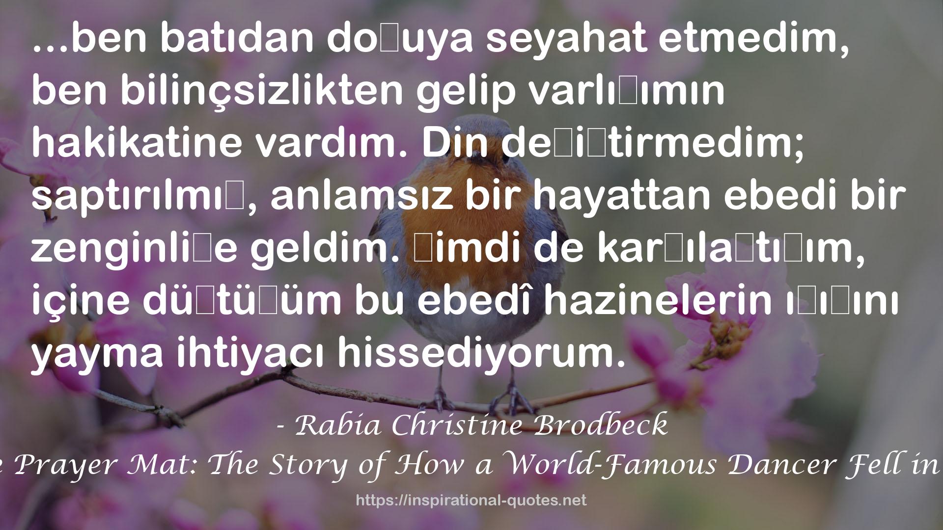 Rabia Christine Brodbeck QUOTES