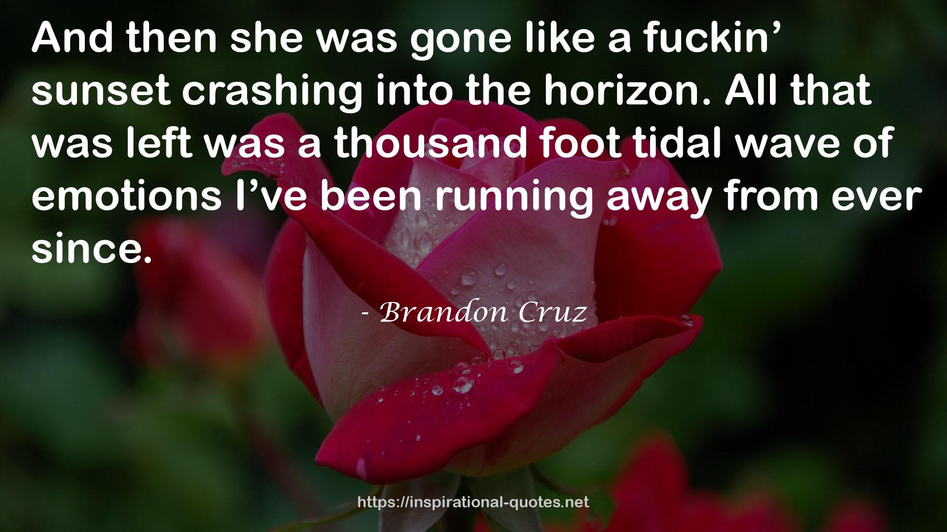 Brandon Cruz QUOTES