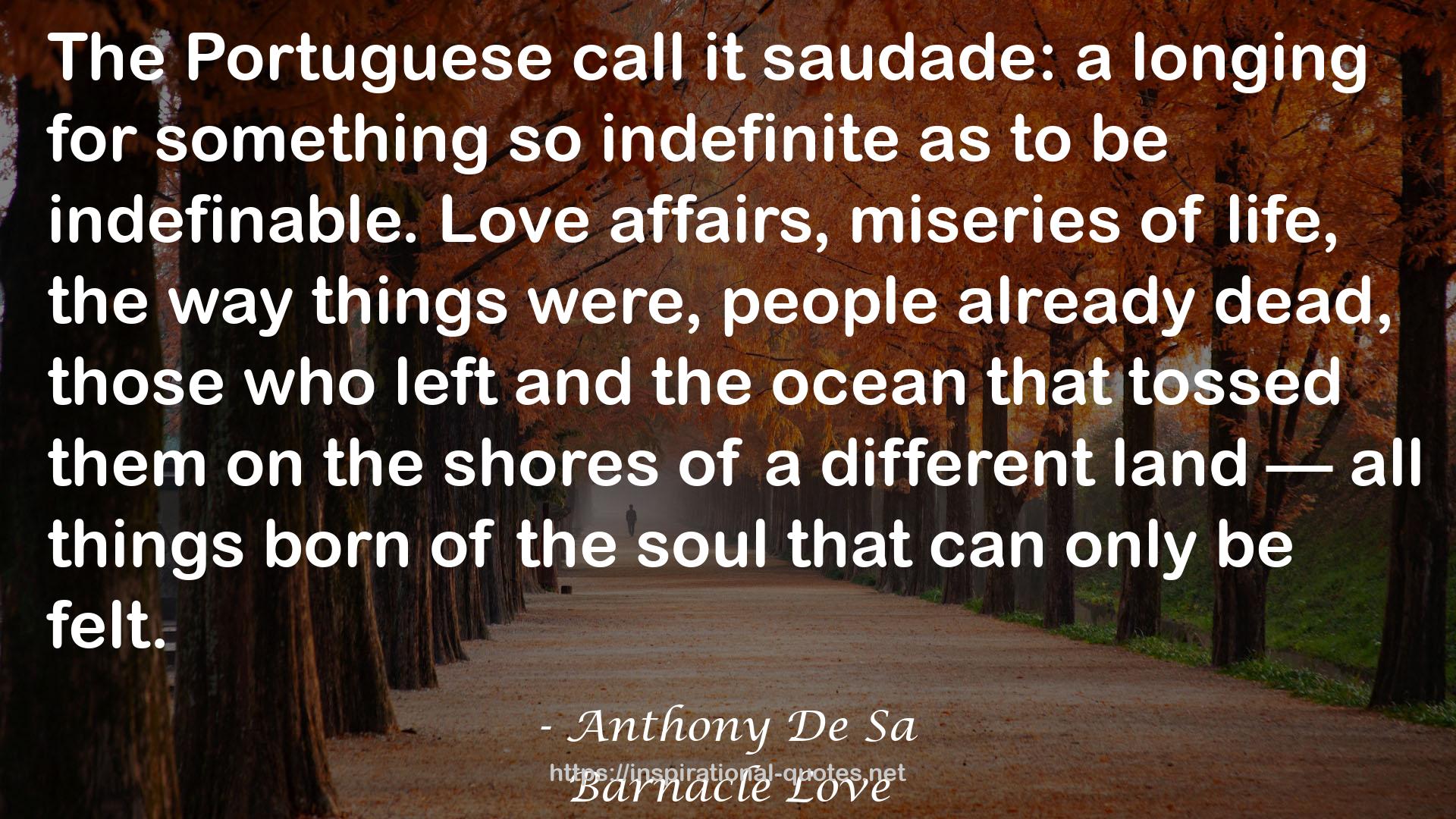 Anthony De Sa QUOTES