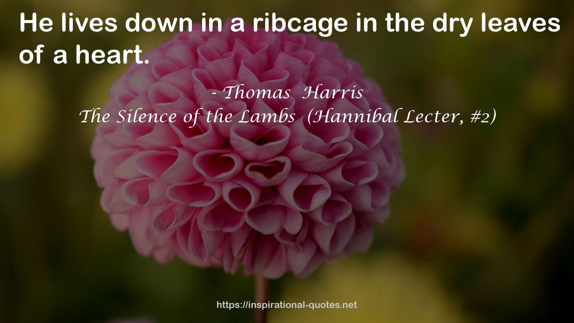 ribcage  QUOTES