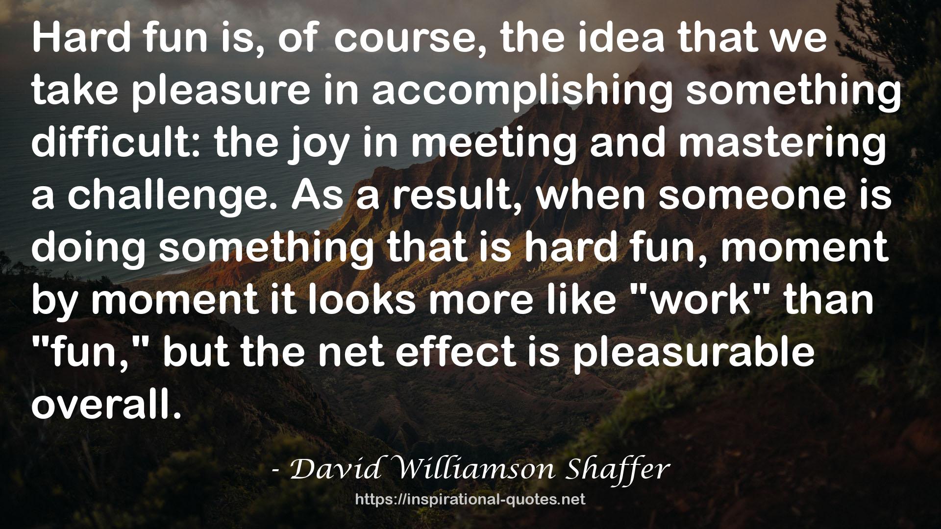 David Williamson Shaffer QUOTES