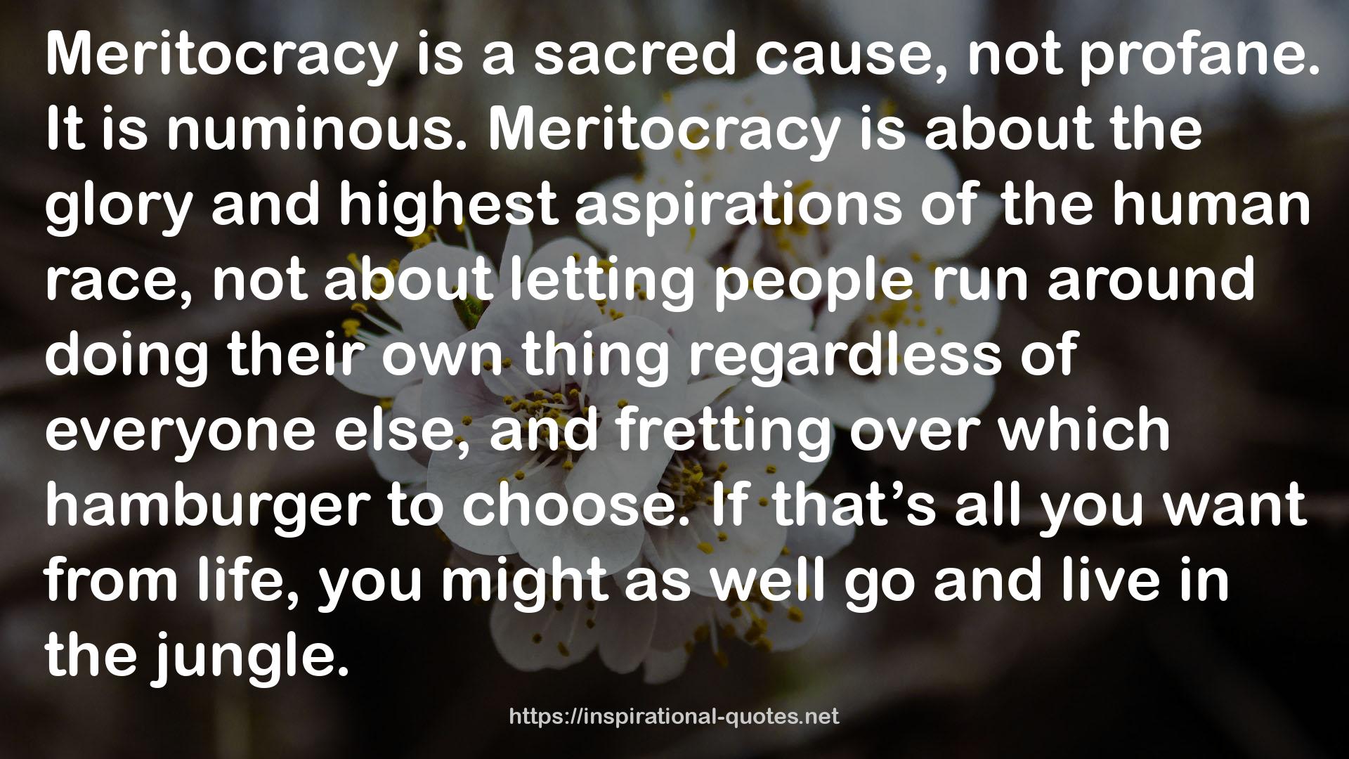 The Case for Meritocracy (The Political Series Book 3) QUOTES