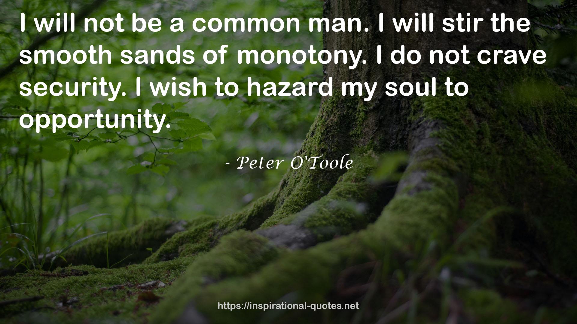 Peter O'Toole QUOTES