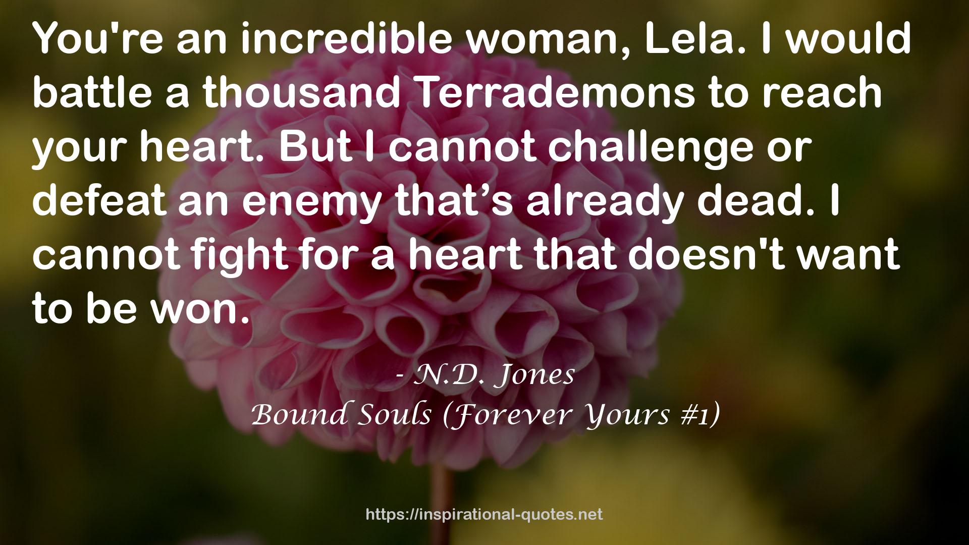Bound Souls (Forever Yours #1) QUOTES
