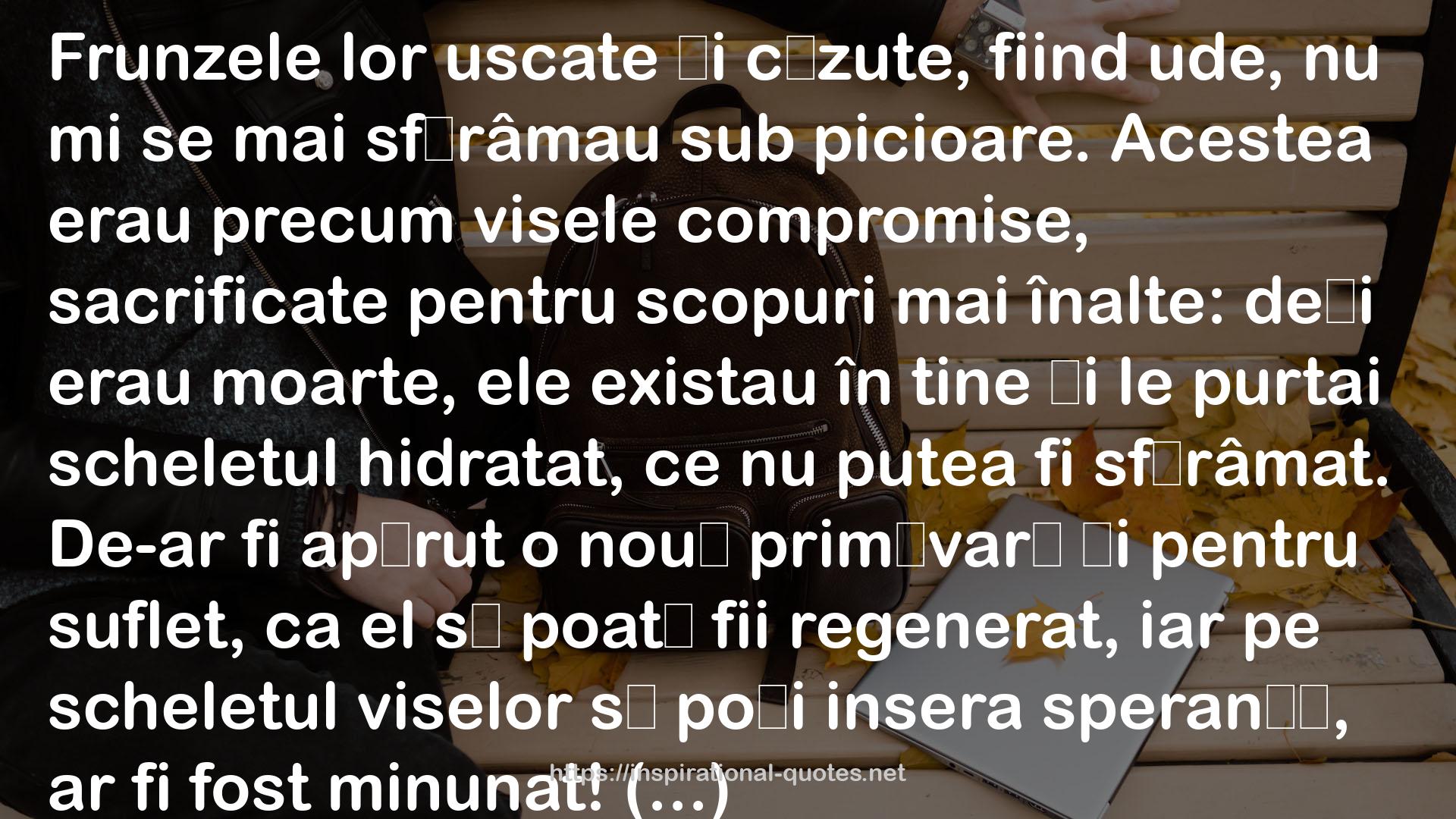 Din octombrie până în martie QUOTES