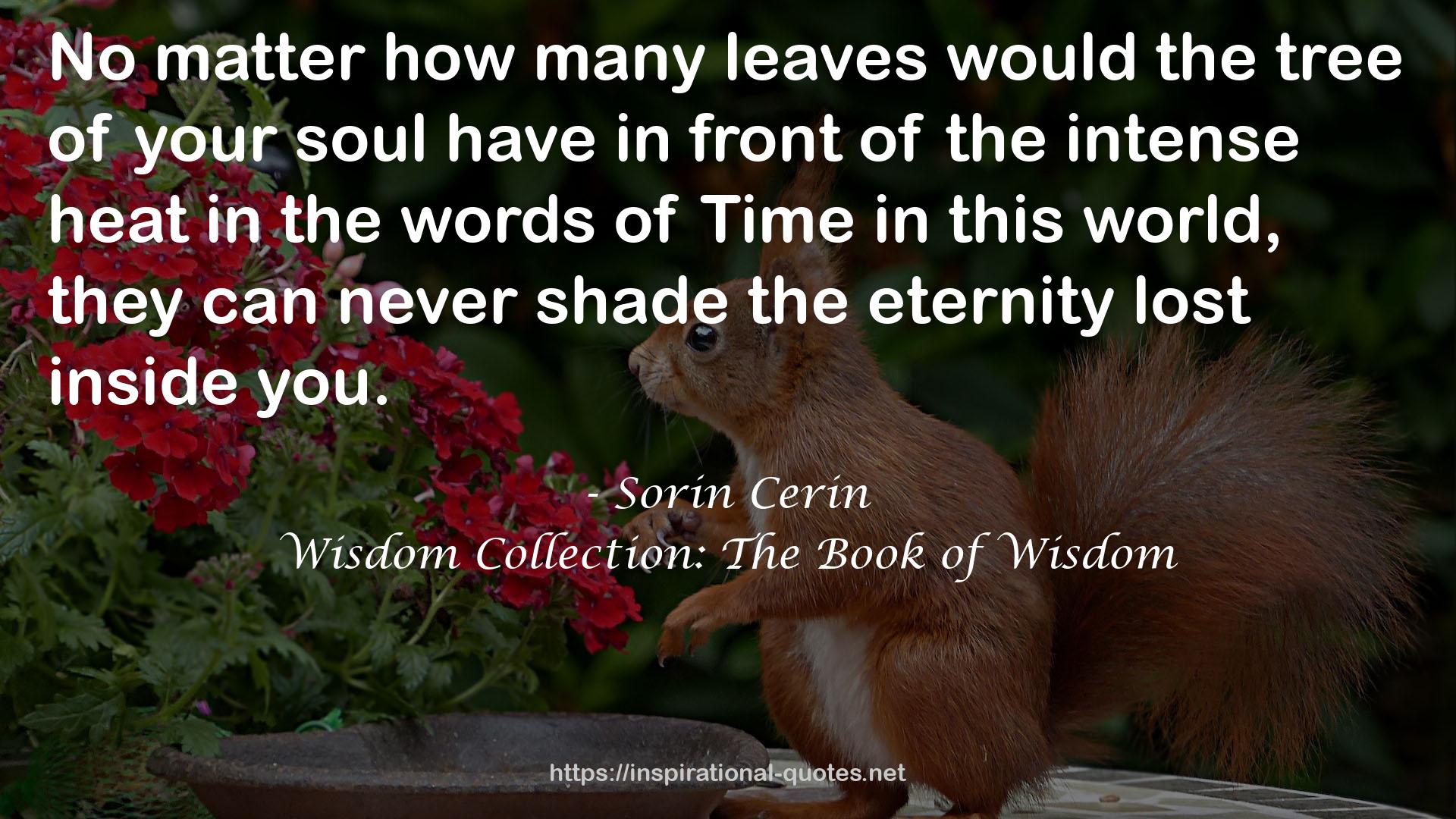 Wisdom Collection: The Book of Wisdom QUOTES
