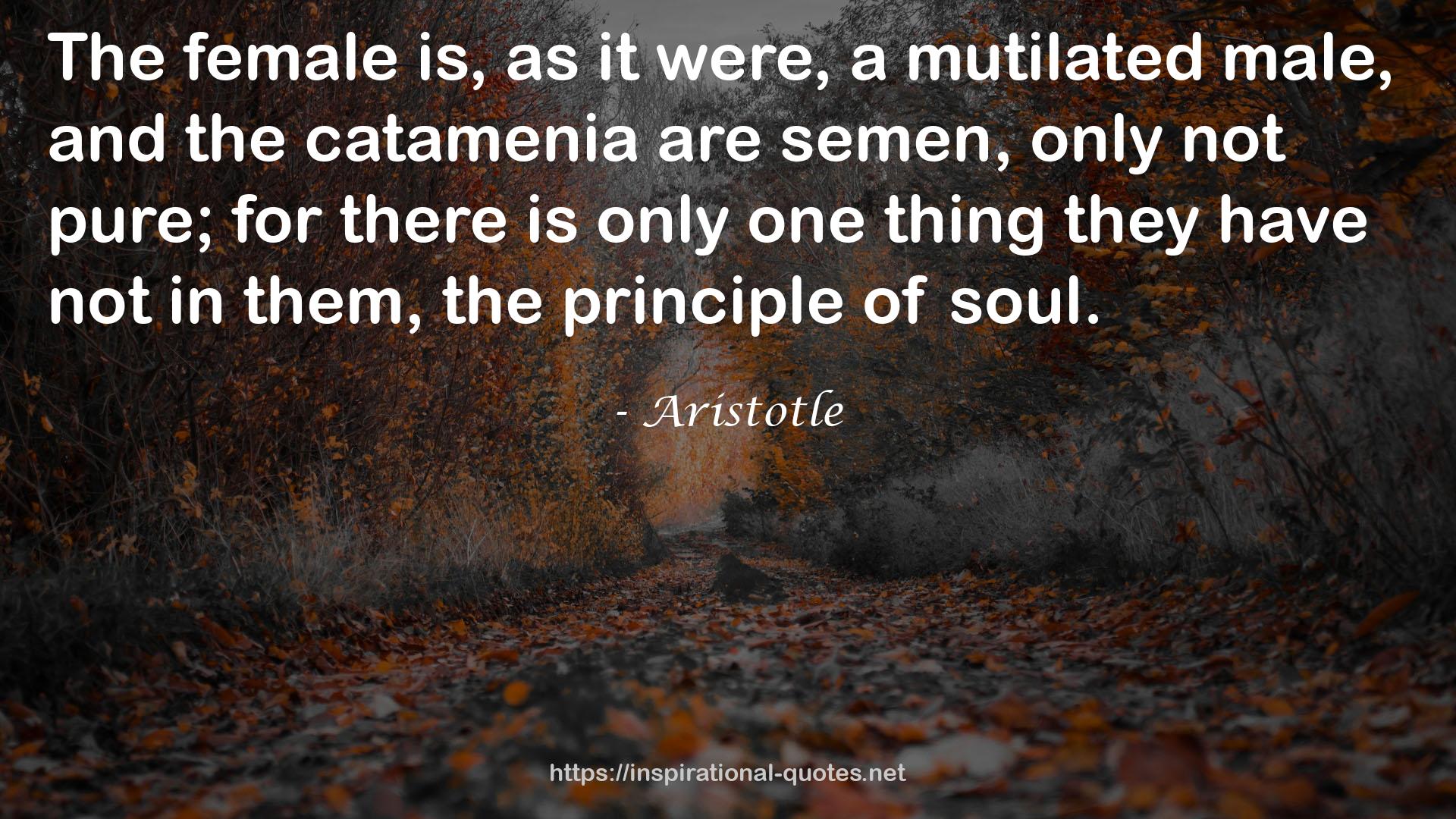 catamenia  QUOTES