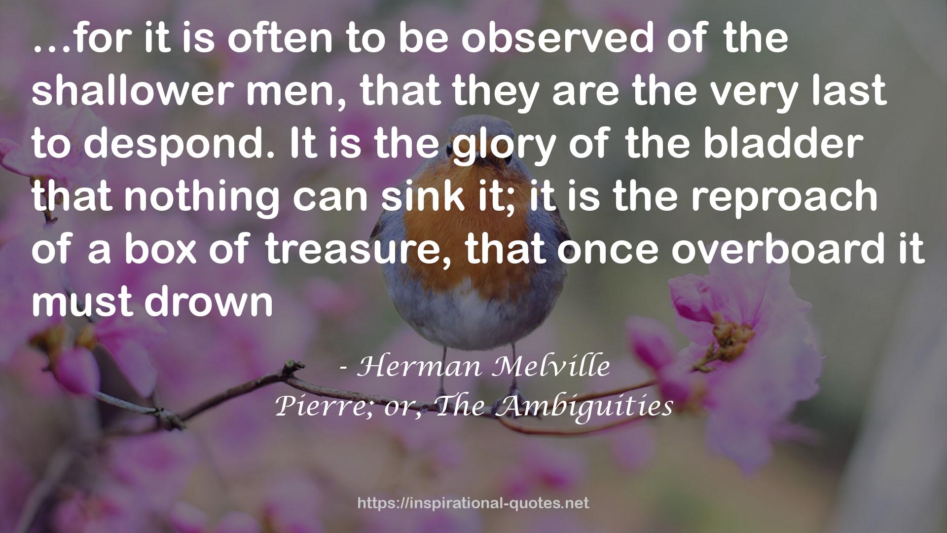 Pierre; or, The Ambiguities QUOTES