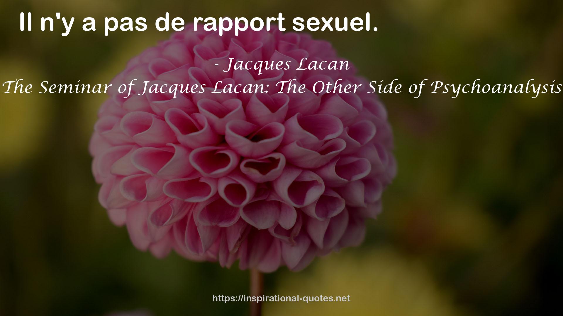 The Seminar of Jacques Lacan: The Other Side of Psychoanalysis QUOTES