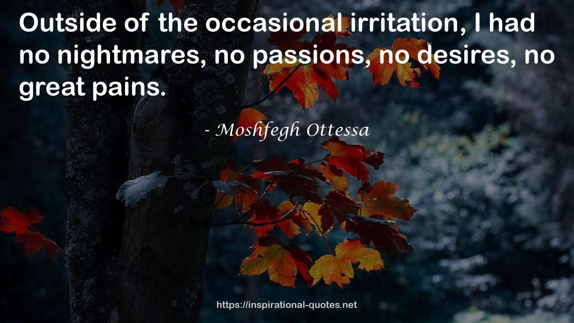 Moshfegh Ottessa QUOTES