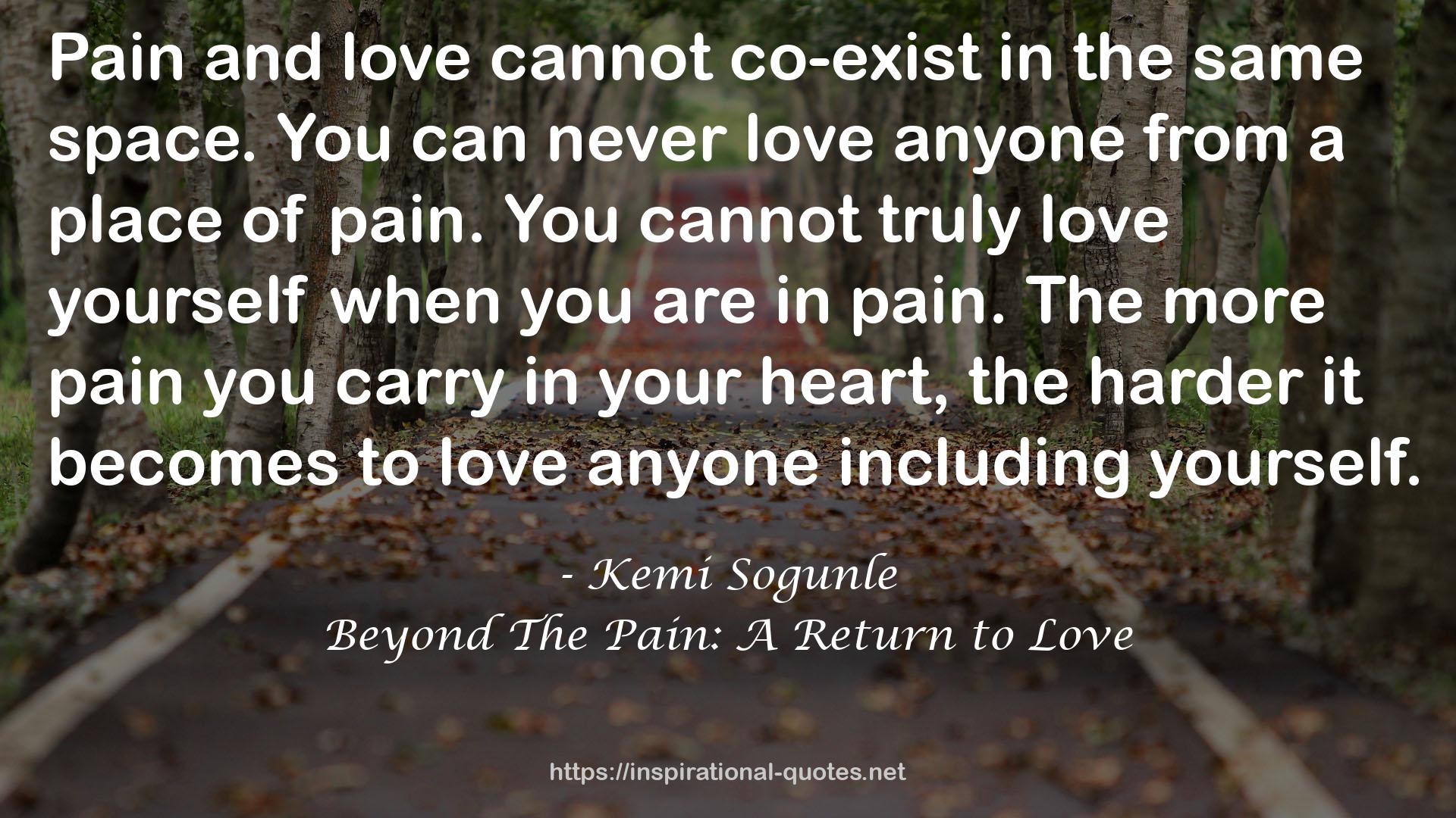 Beyond The Pain: A Return to Love QUOTES