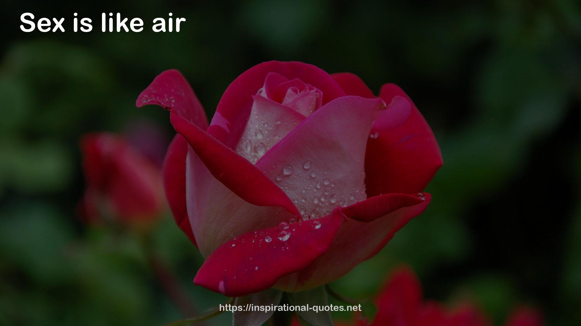 air  QUOTES