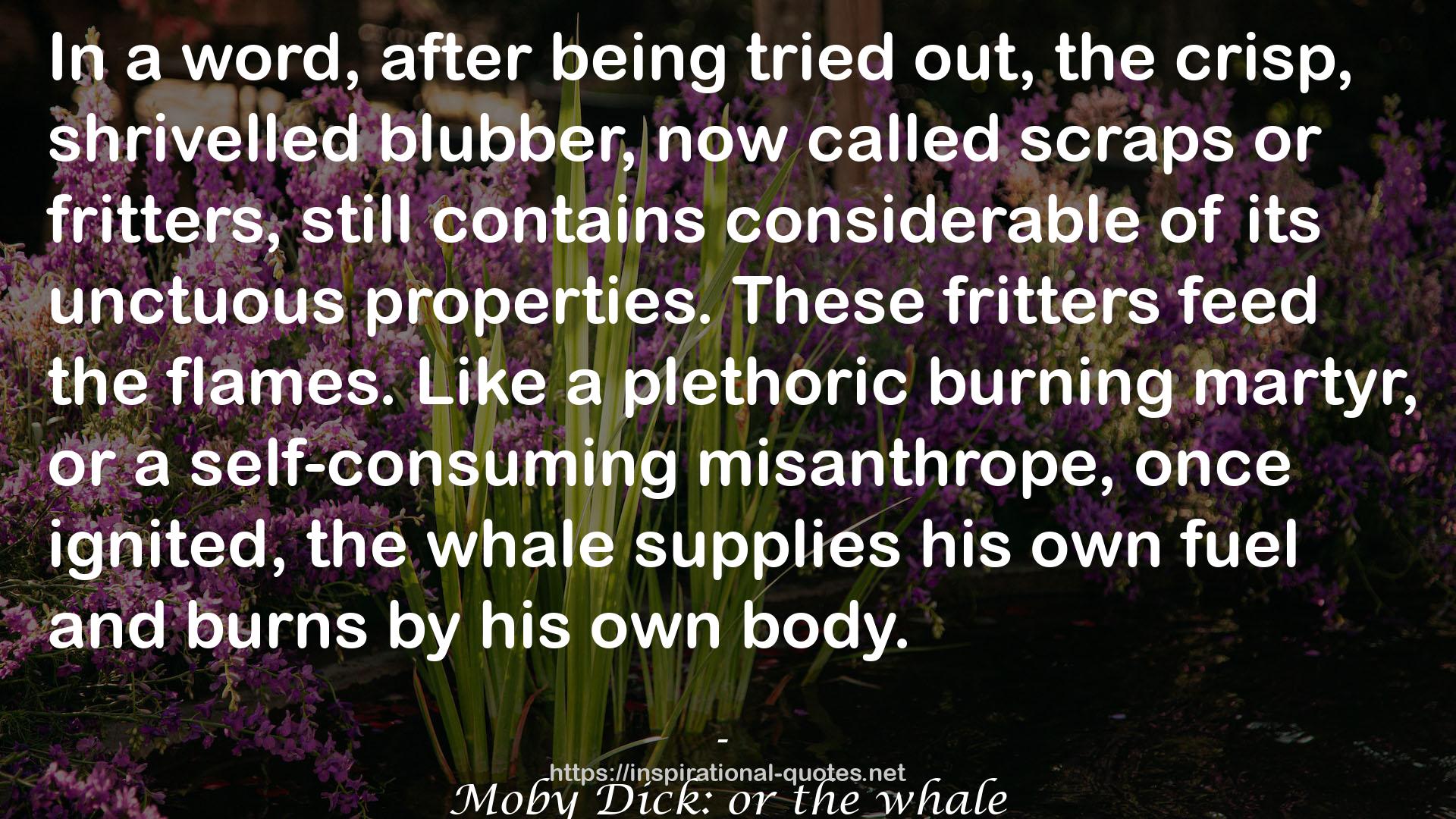Moby Dick: or the whale QUOTES
