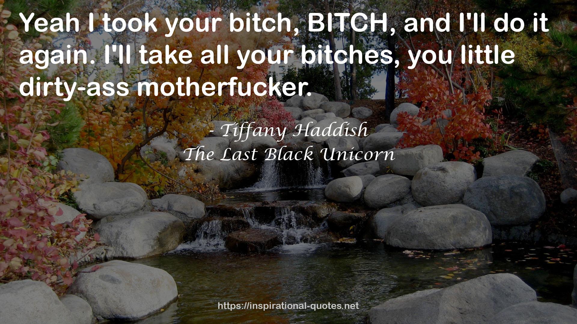 The Last Black Unicorn QUOTES