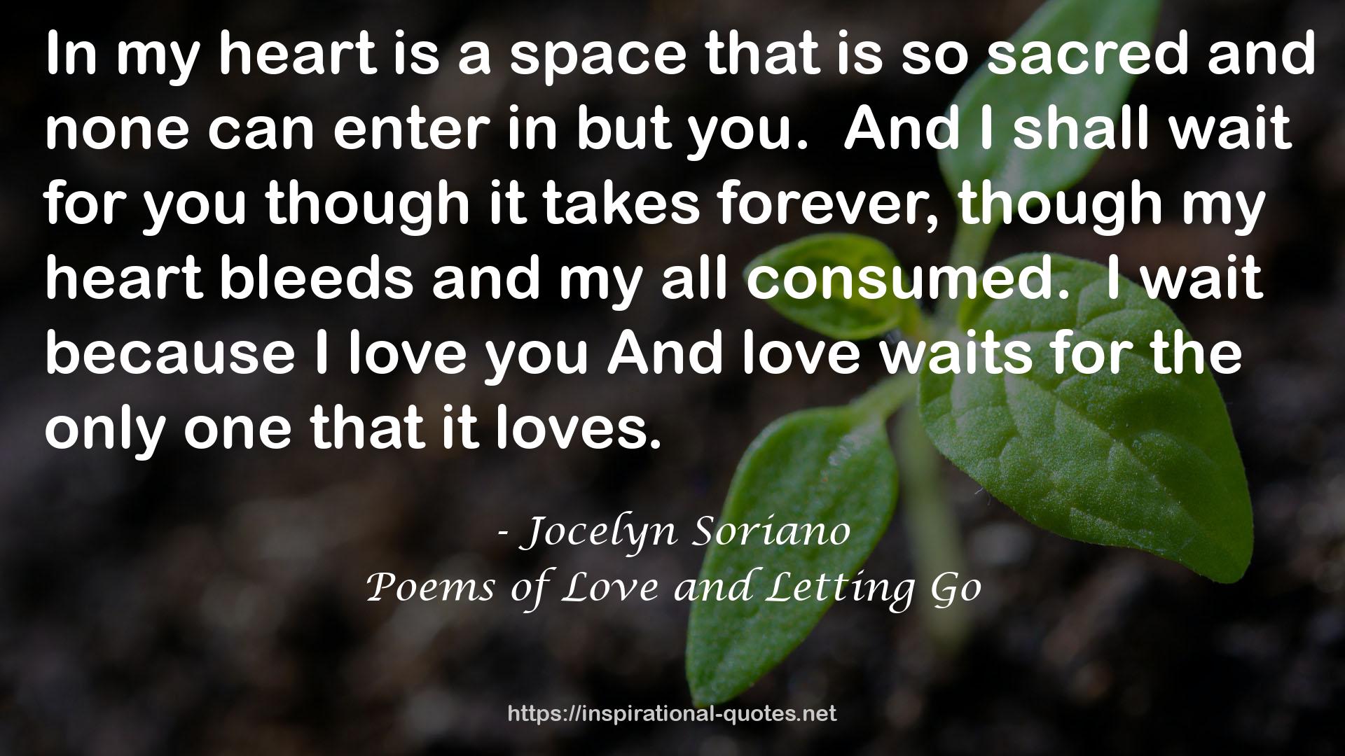 Poems of Love and Letting Go QUOTES