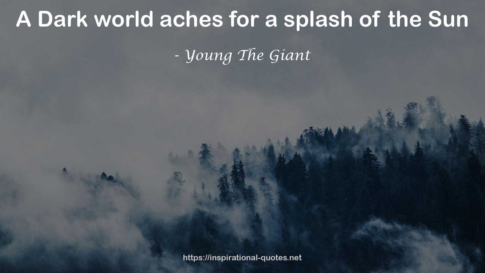 Young The Giant QUOTES