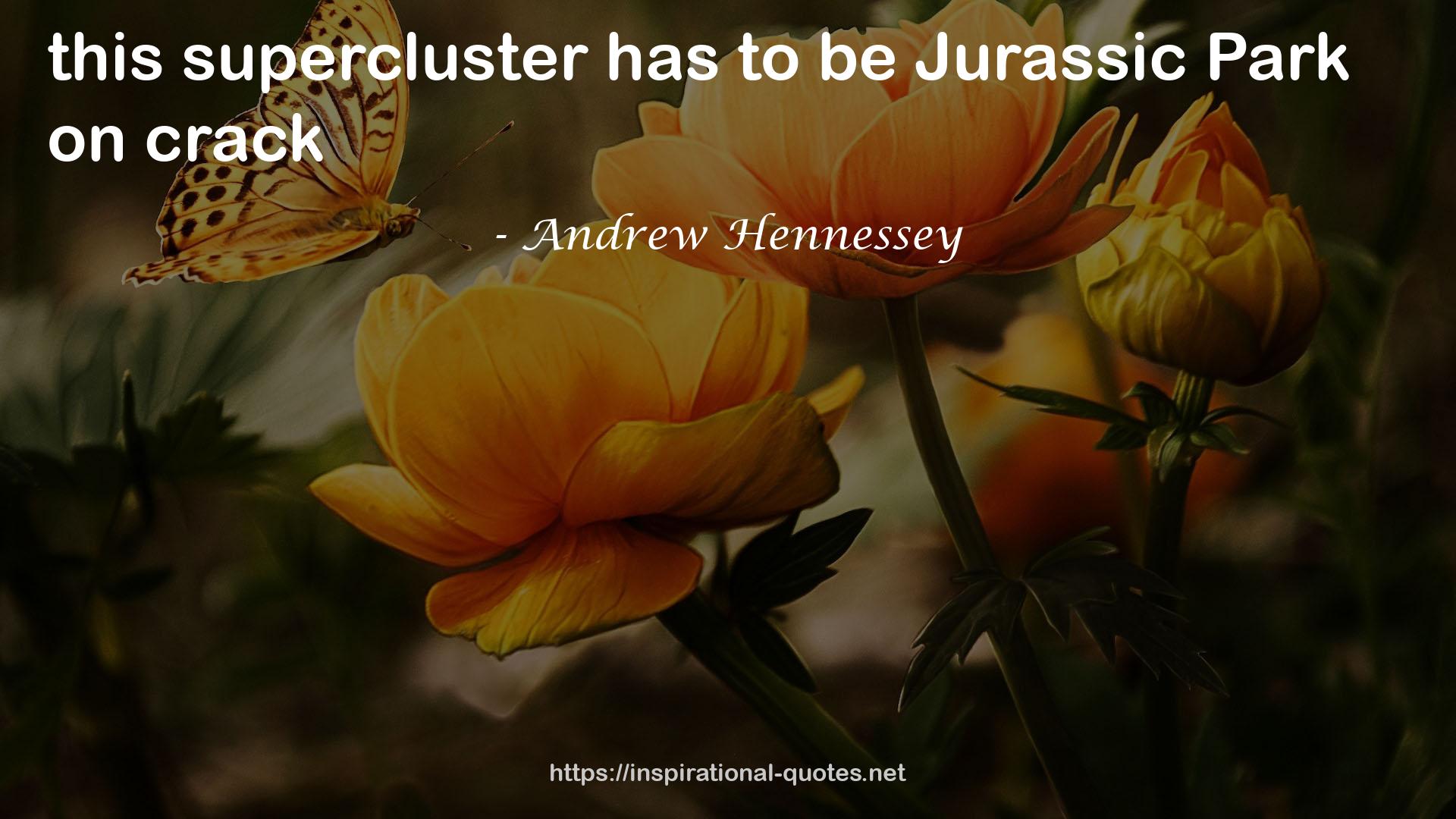 Andrew Hennessey QUOTES