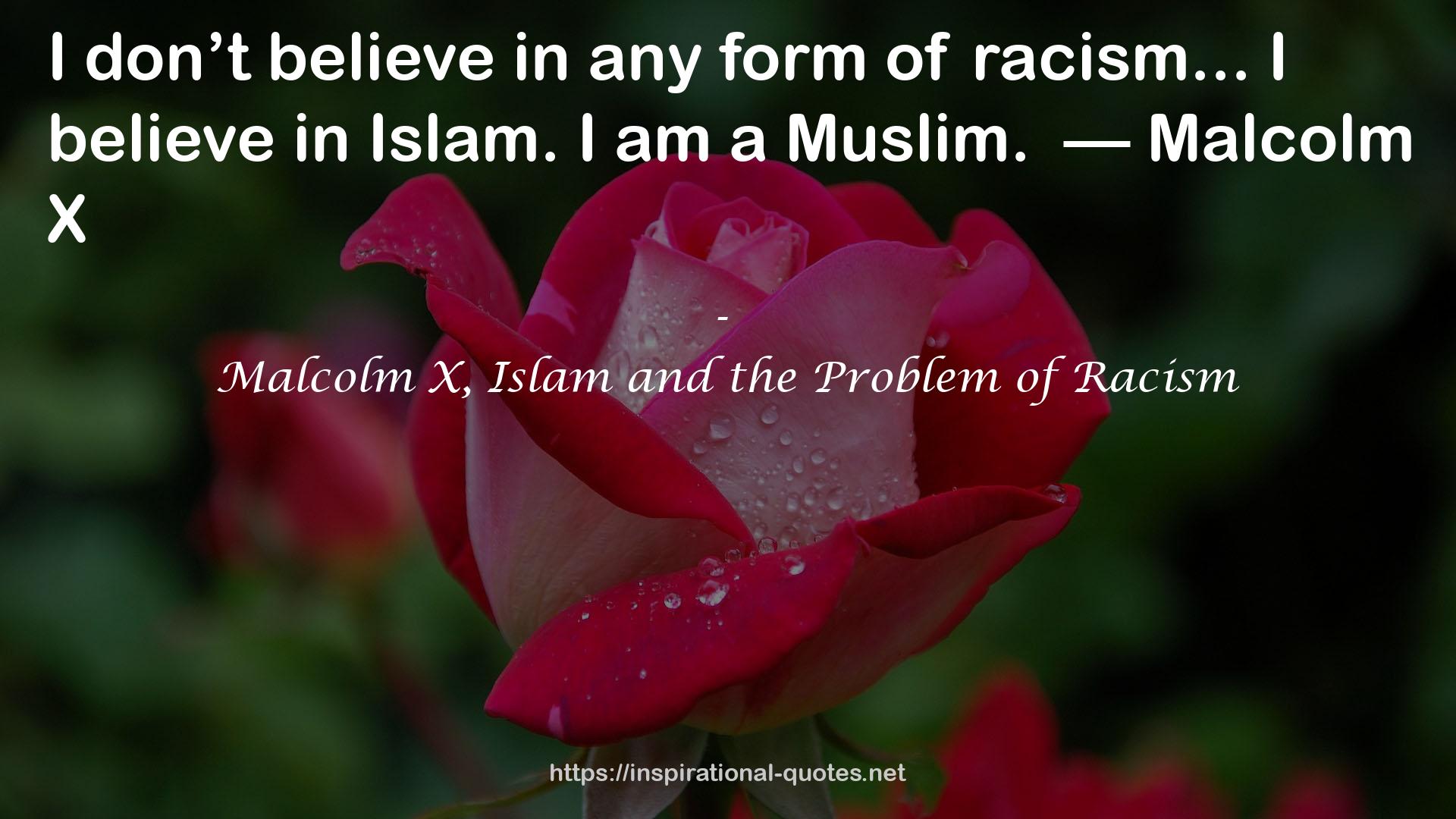 Malcolm X, Islam and the Problem of Racism QUOTES