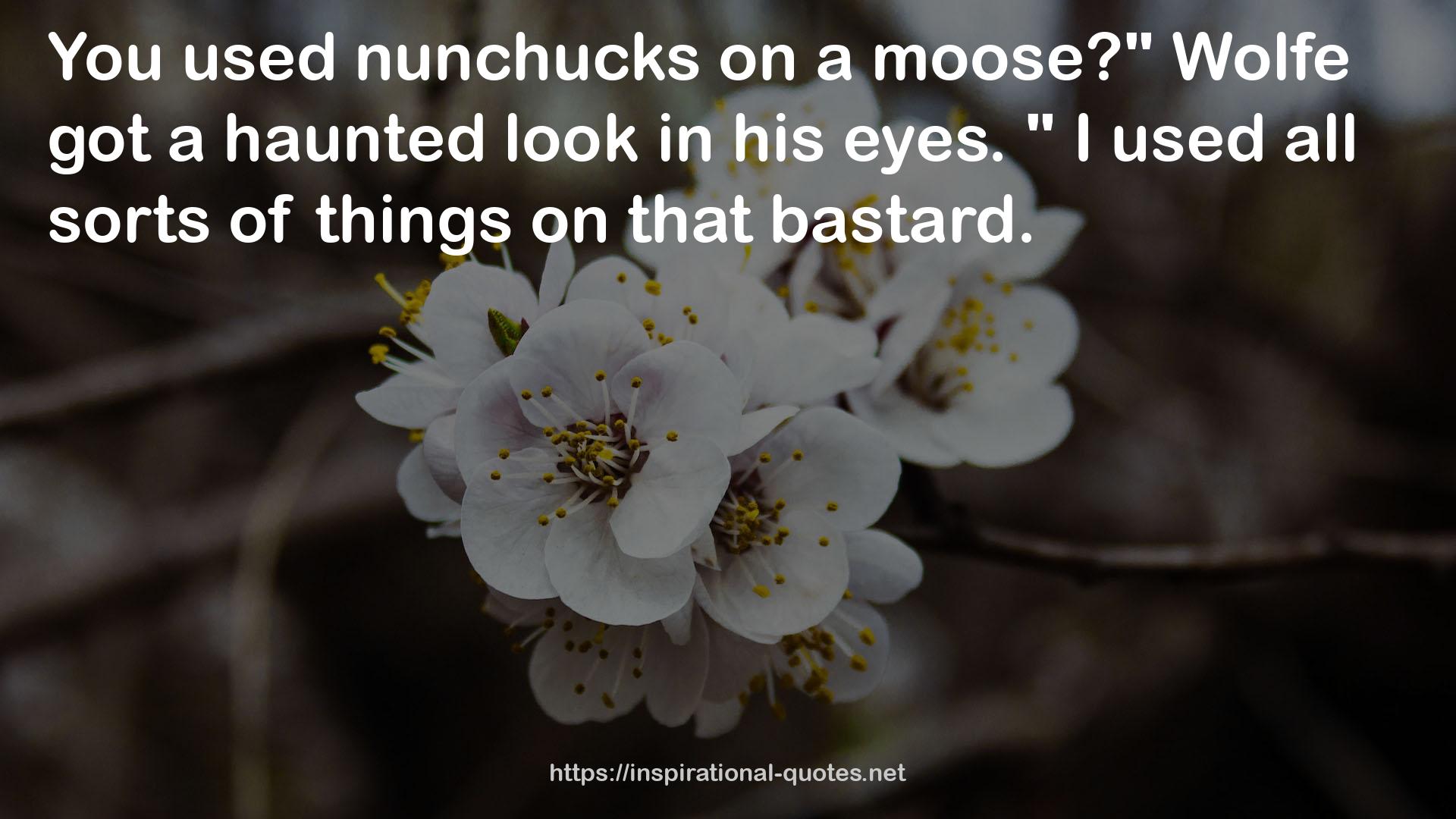 nunchucks  QUOTES