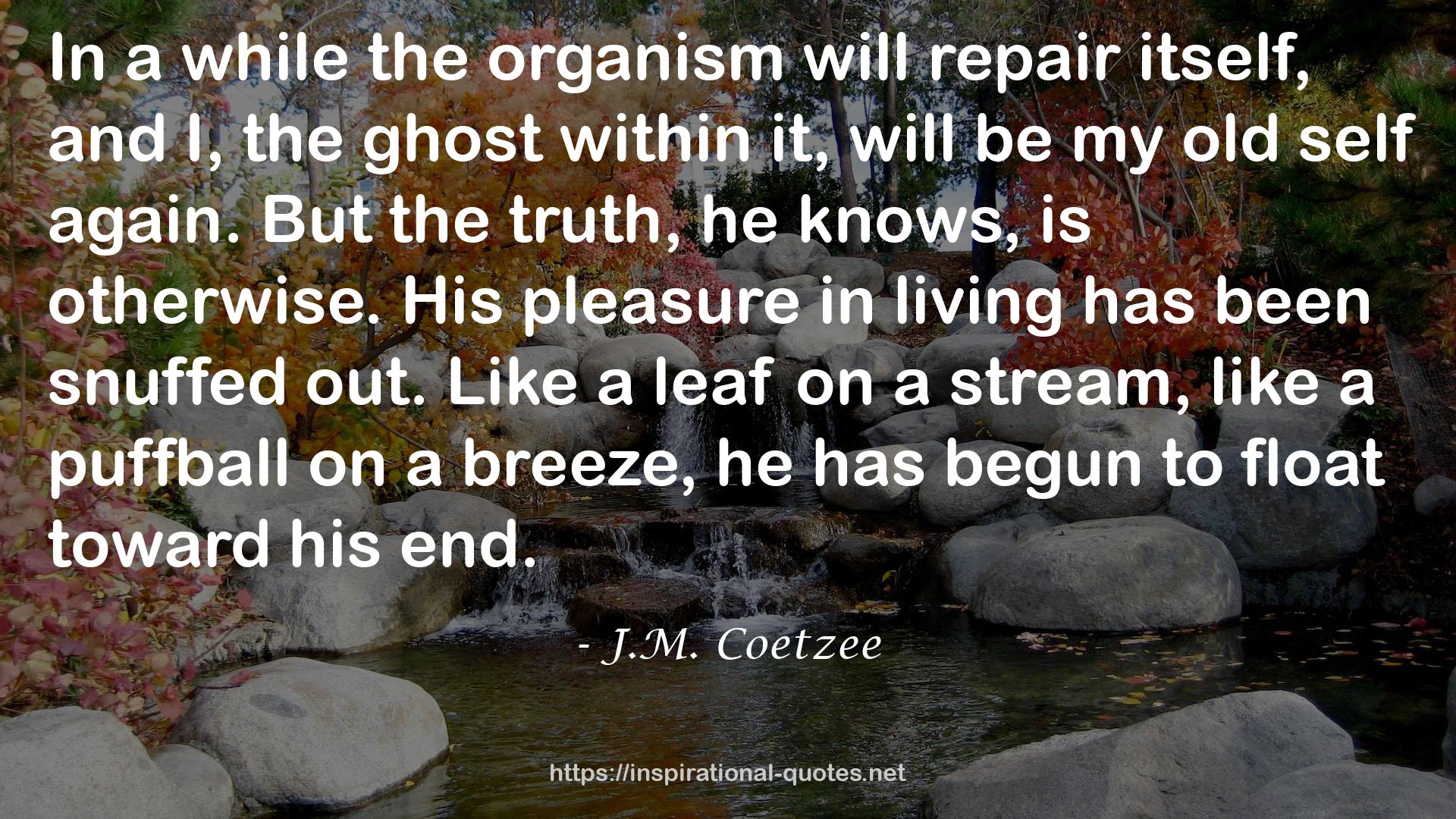 J.M. Coetzee QUOTES