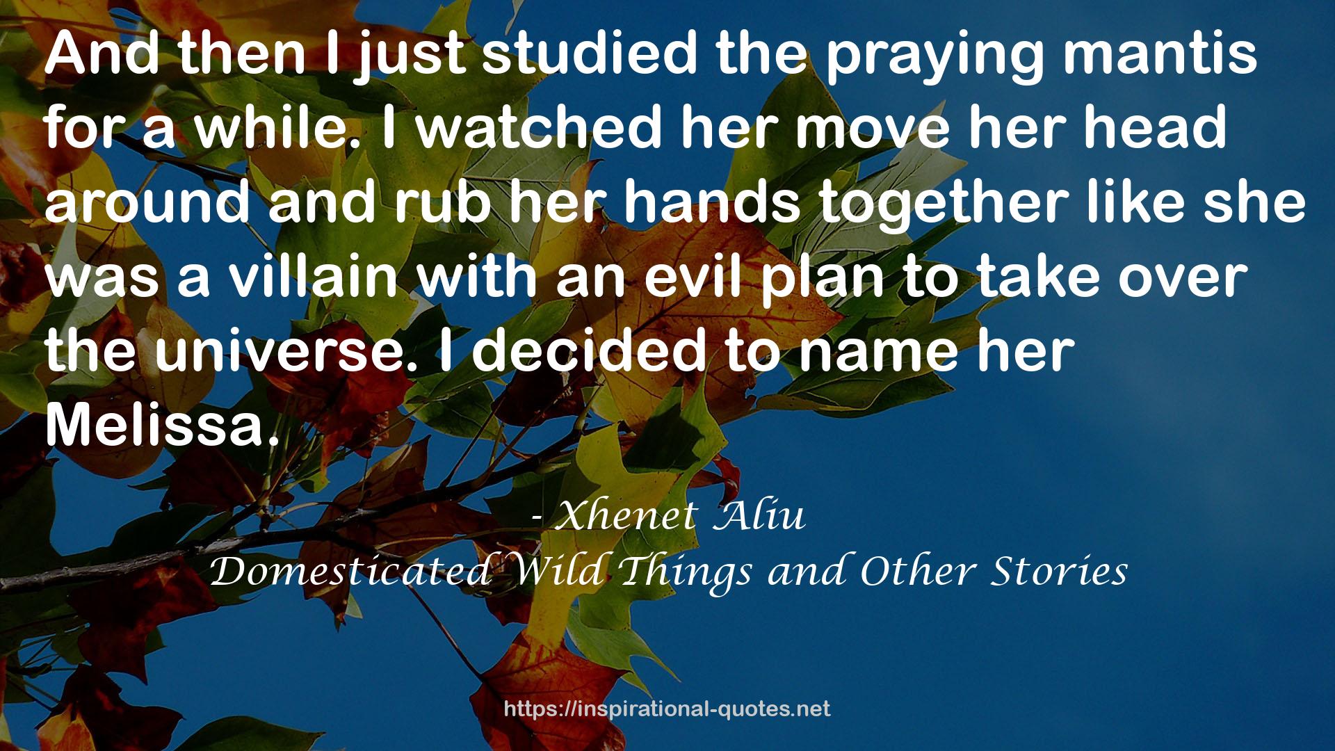 Xhenet Aliu QUOTES