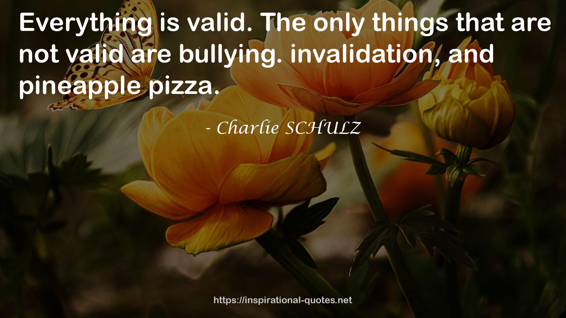 Charlie SCHULZ QUOTES
