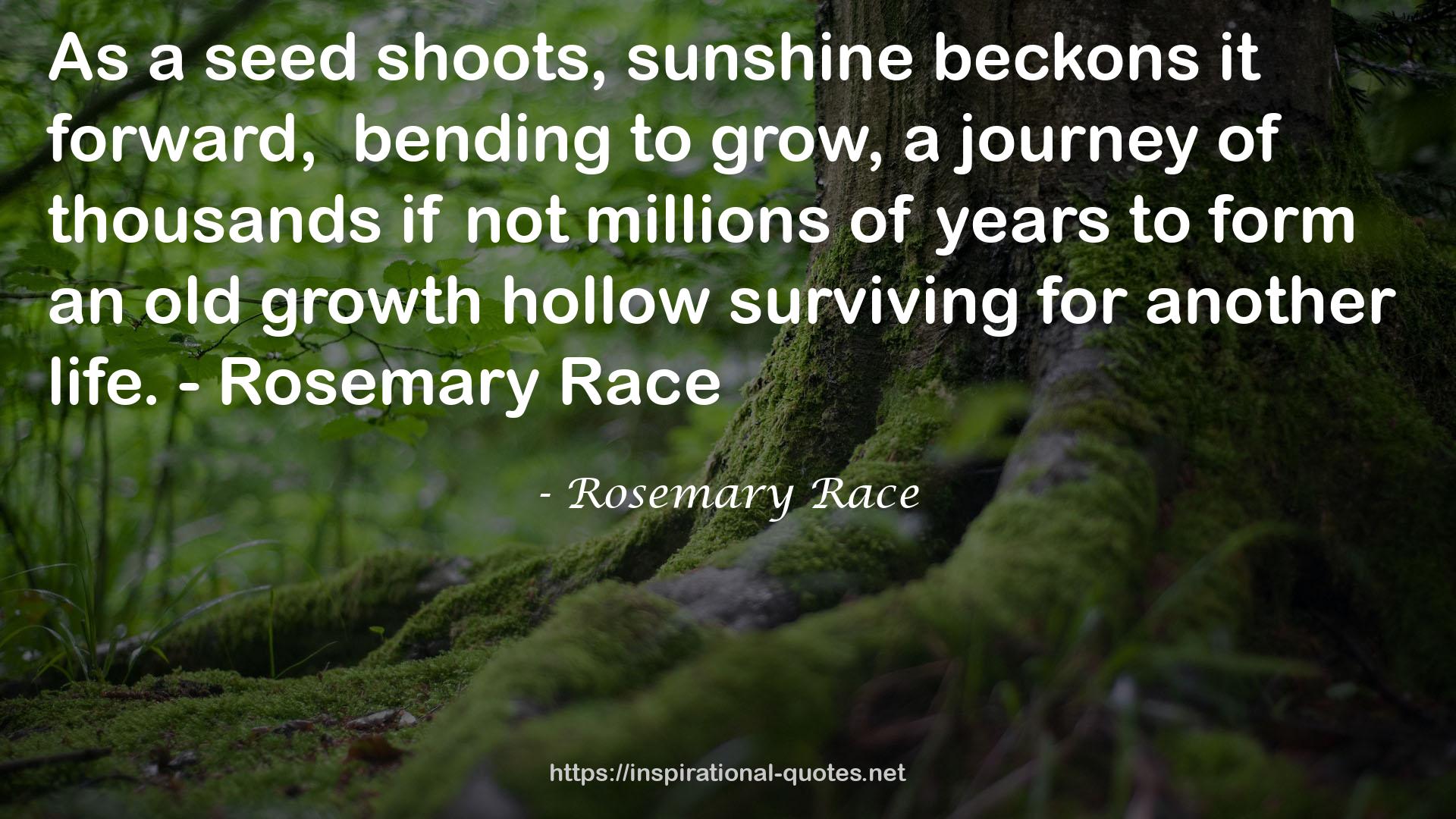 Rosemary Race QUOTES