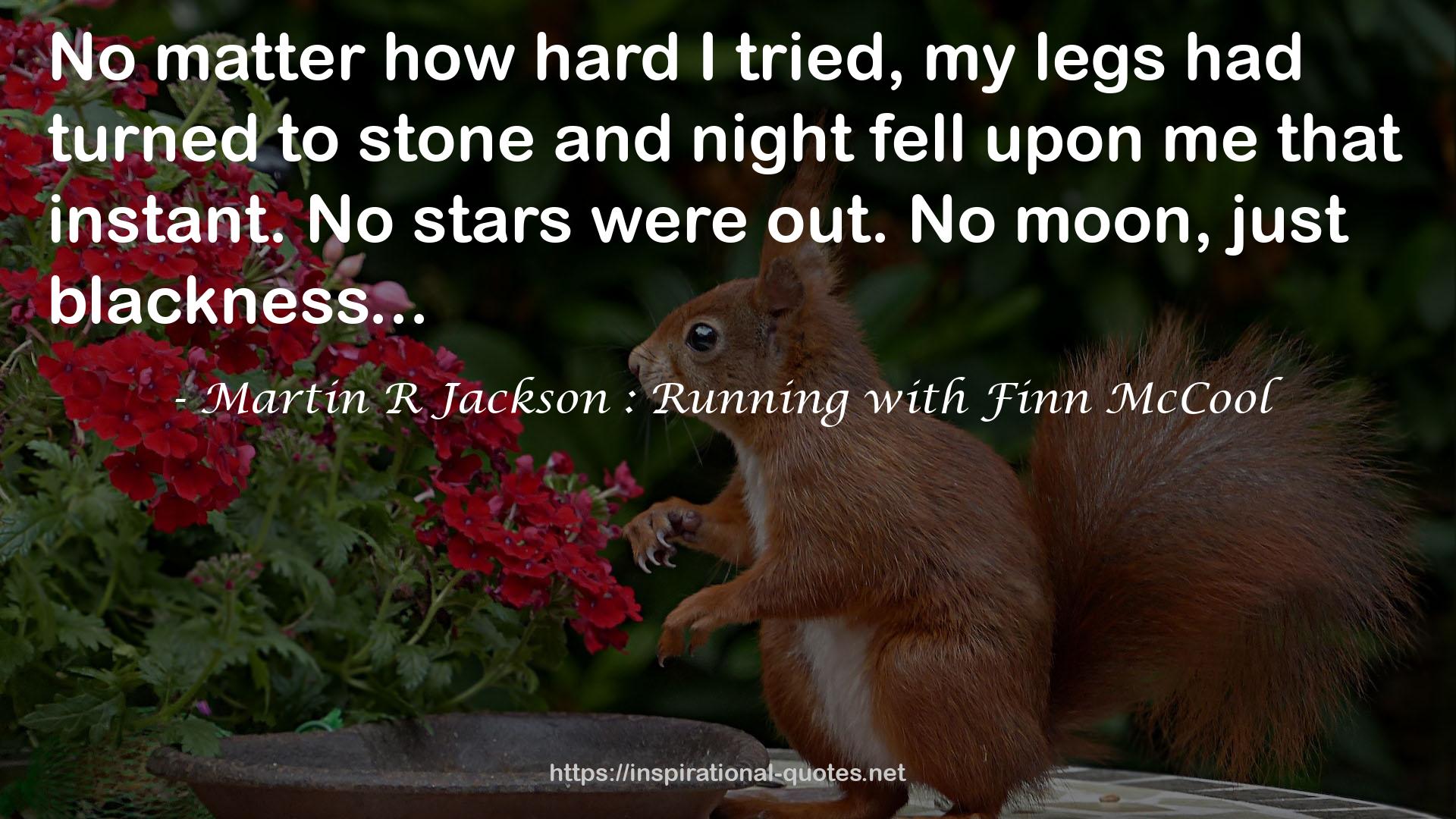 Martin R Jackson : Running with Finn McCool QUOTES