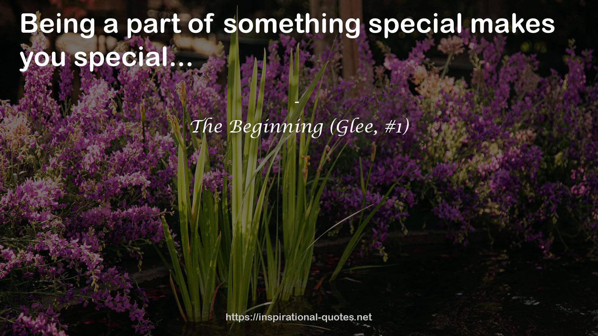 The Beginning (Glee, #1) QUOTES