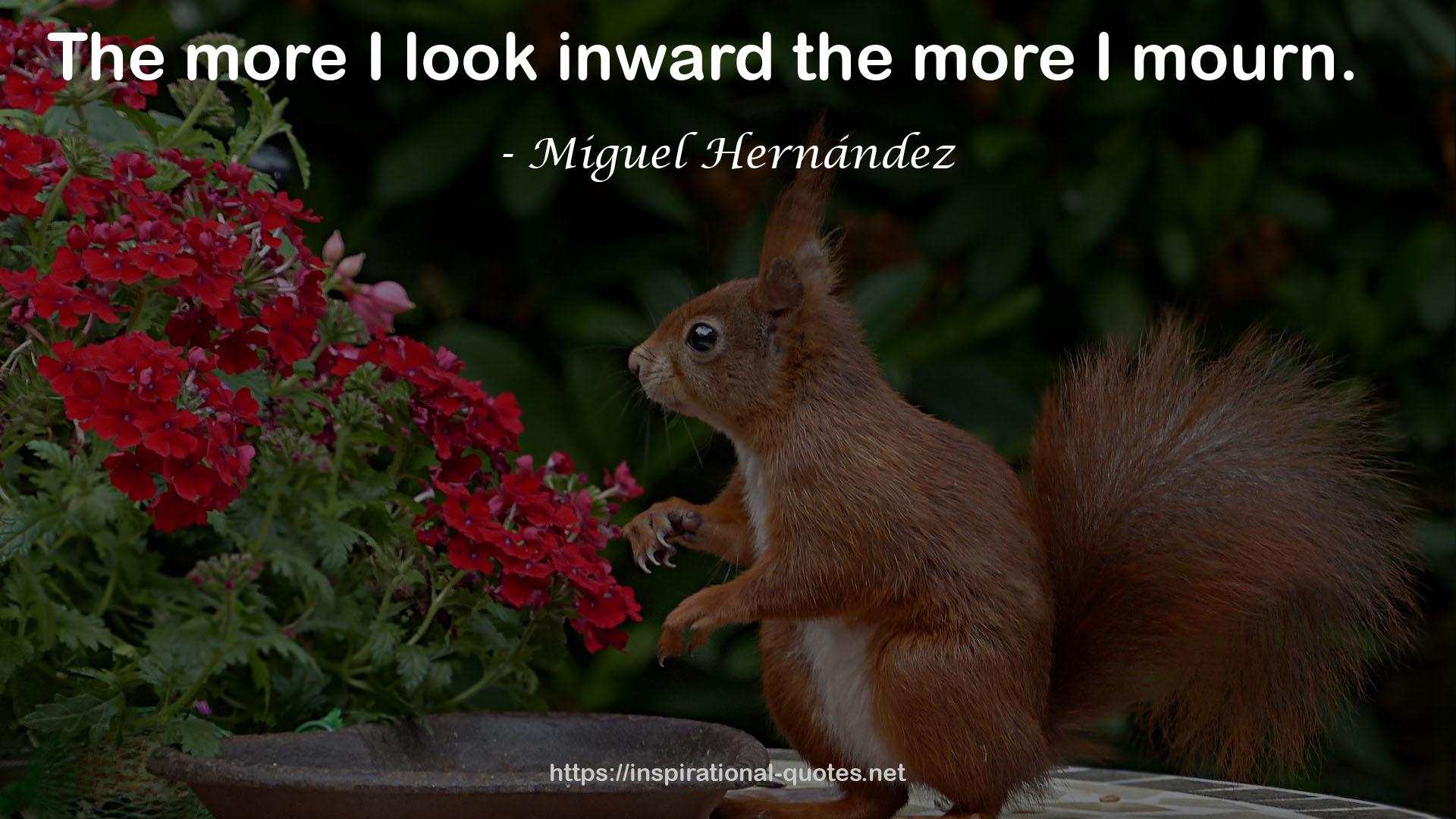 Miguel Hernández QUOTES